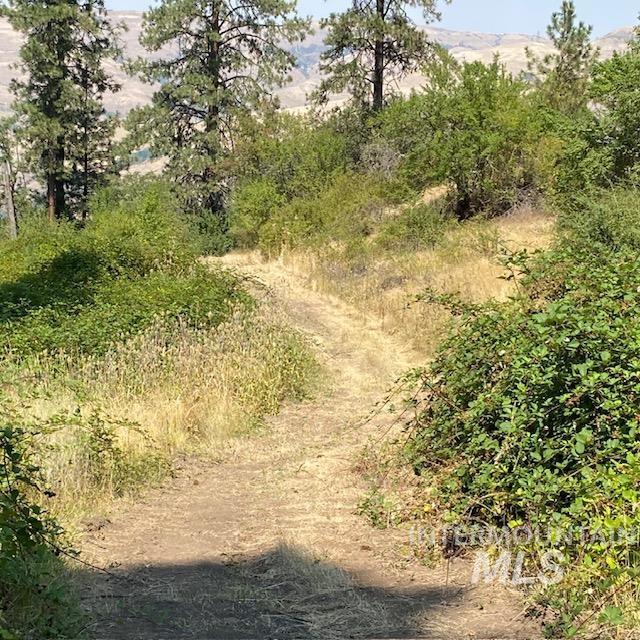 Tbd Summit Grade Parcel 