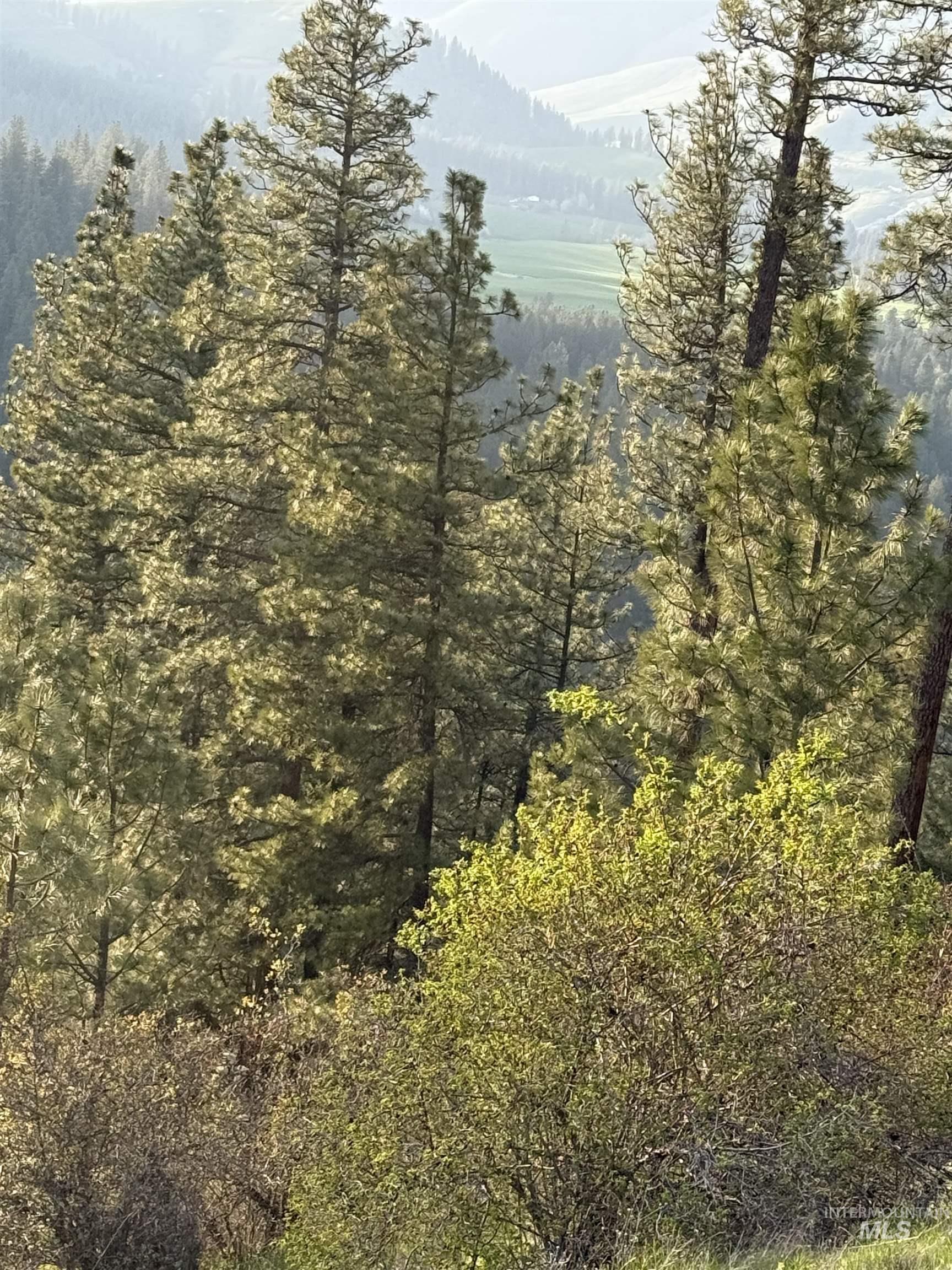 Tbd Summit Grade Parcel 