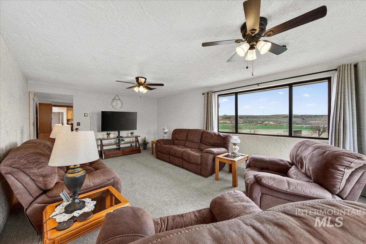 17365 State Hwy 78 Property Photo 5