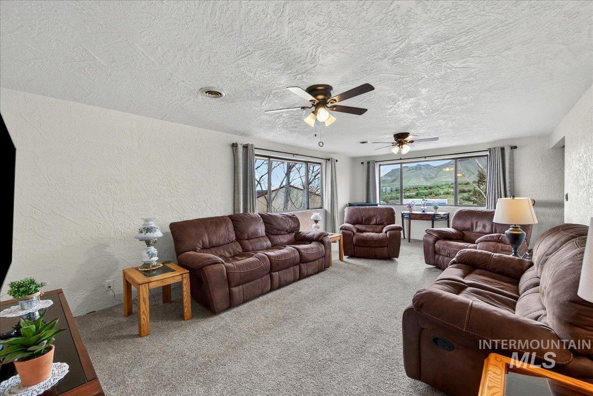 17365 State Hwy 78 Property Photo 6