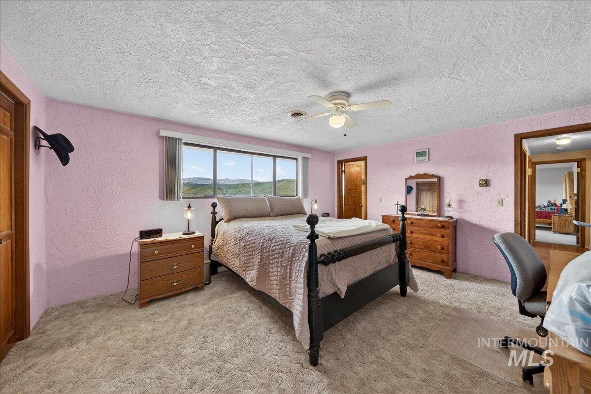 17365 State Hwy 78 Property Photo 16