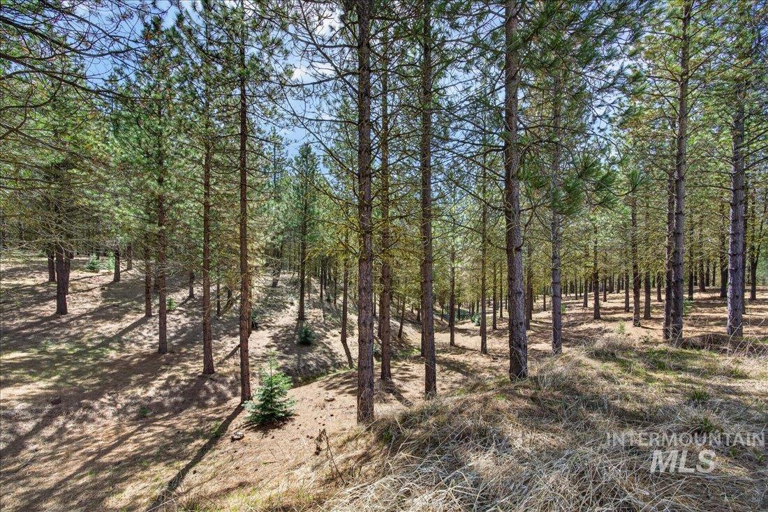 9512,9516,tbd Packer John Rd Property Photo 8