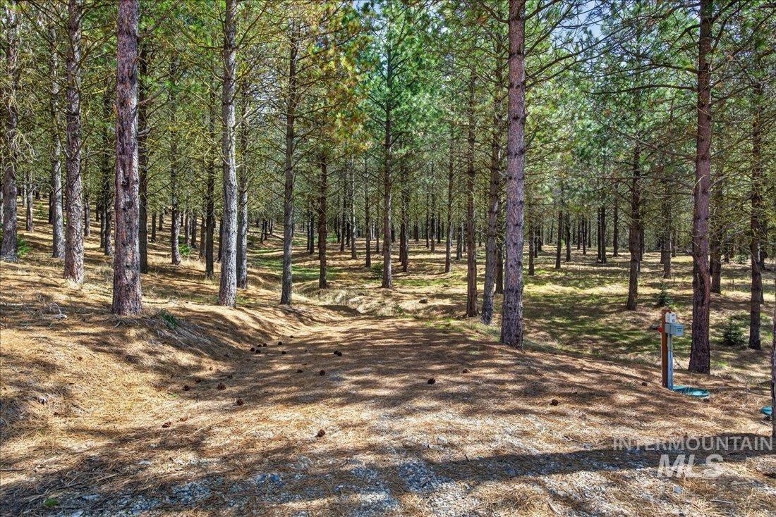9512,9516,tbd Packer John Rd Property Photo 9