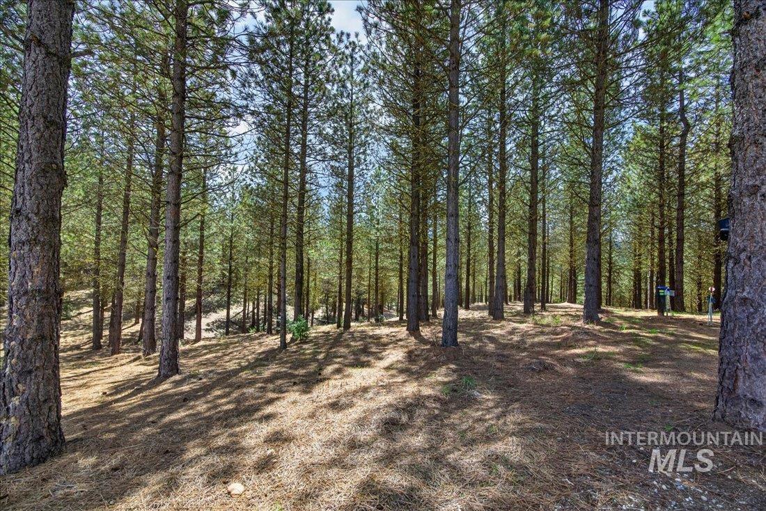 9512,9516,tbd Packer John Rd Property Photo 39