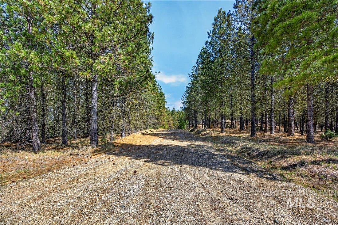 9512,9516,tbd Packer John Rd Property Photo 40