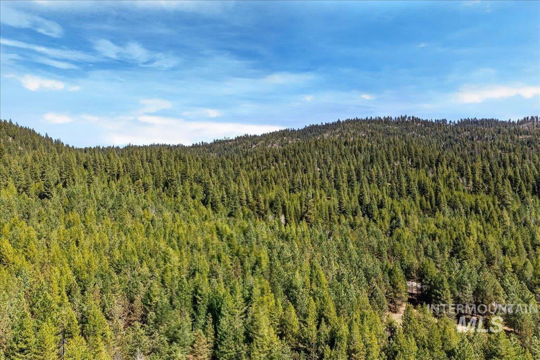 9512,9516,tbd Packer John Rd Property Photo 43