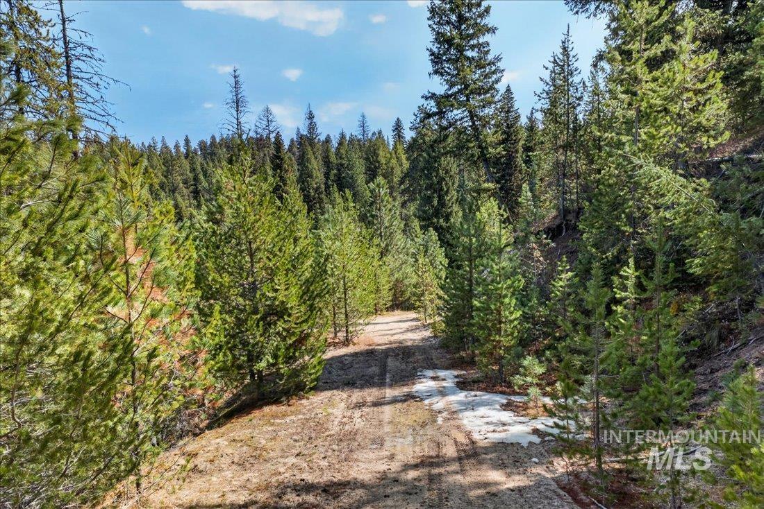 9512,9516,tbd Packer John Rd Property Photo 49
