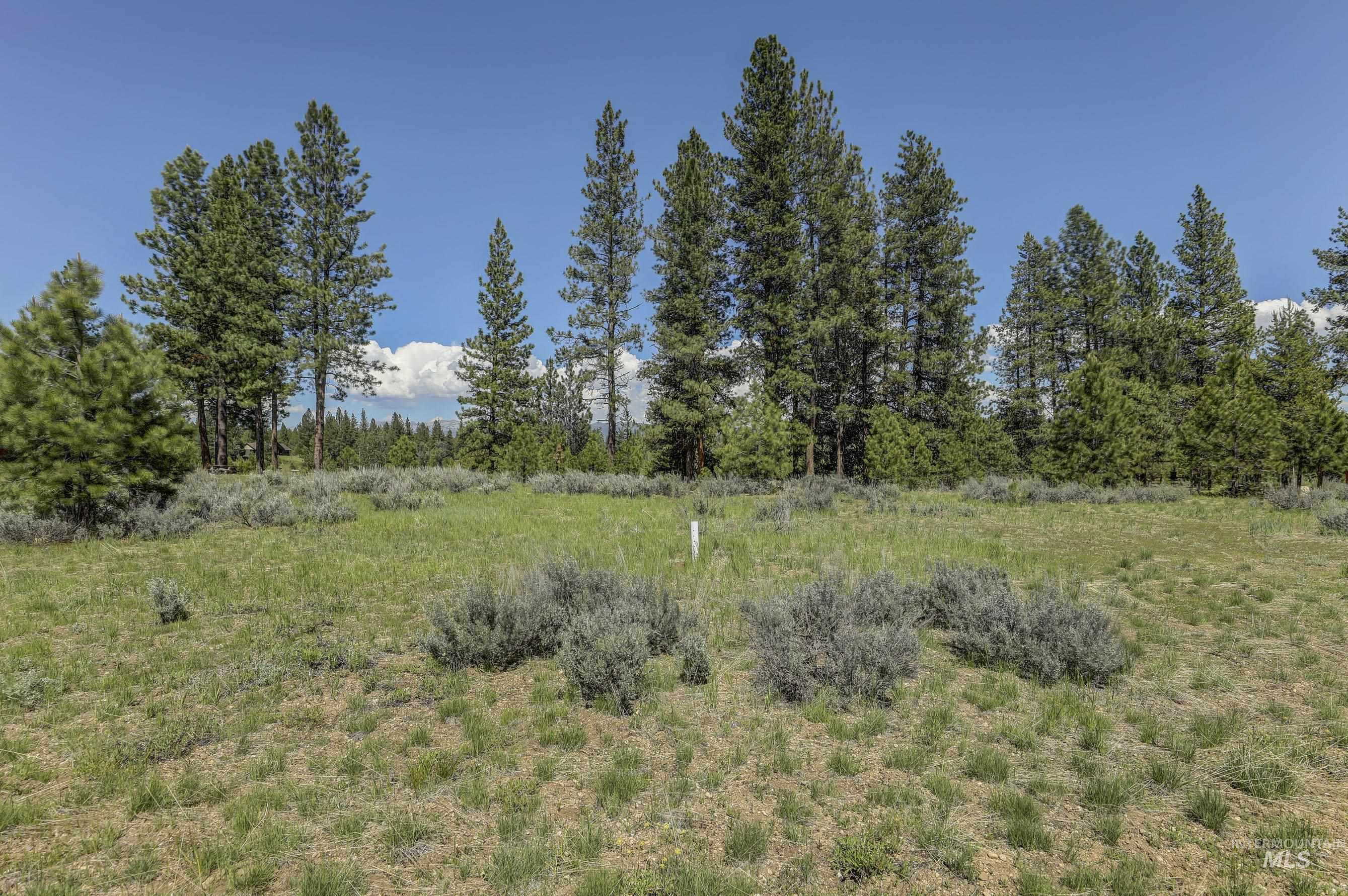 8 Targhee Court Property Photo 5