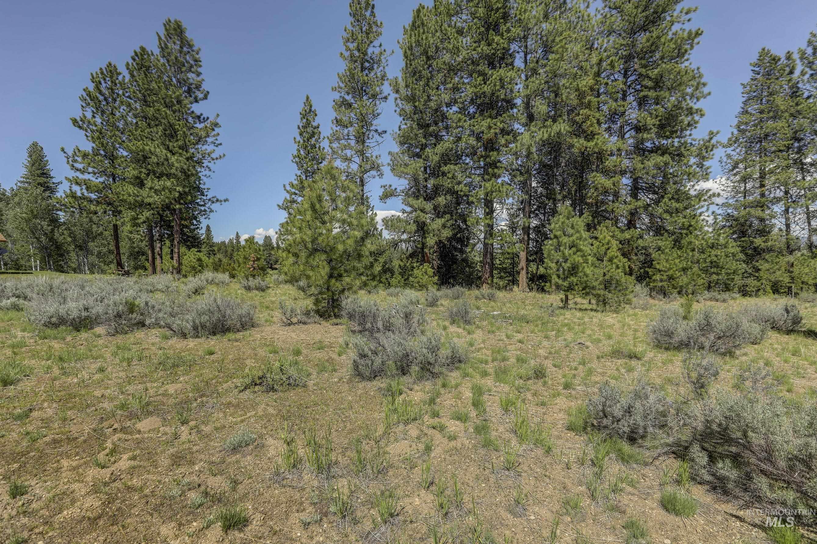 8 Targhee Court Property Photo 6