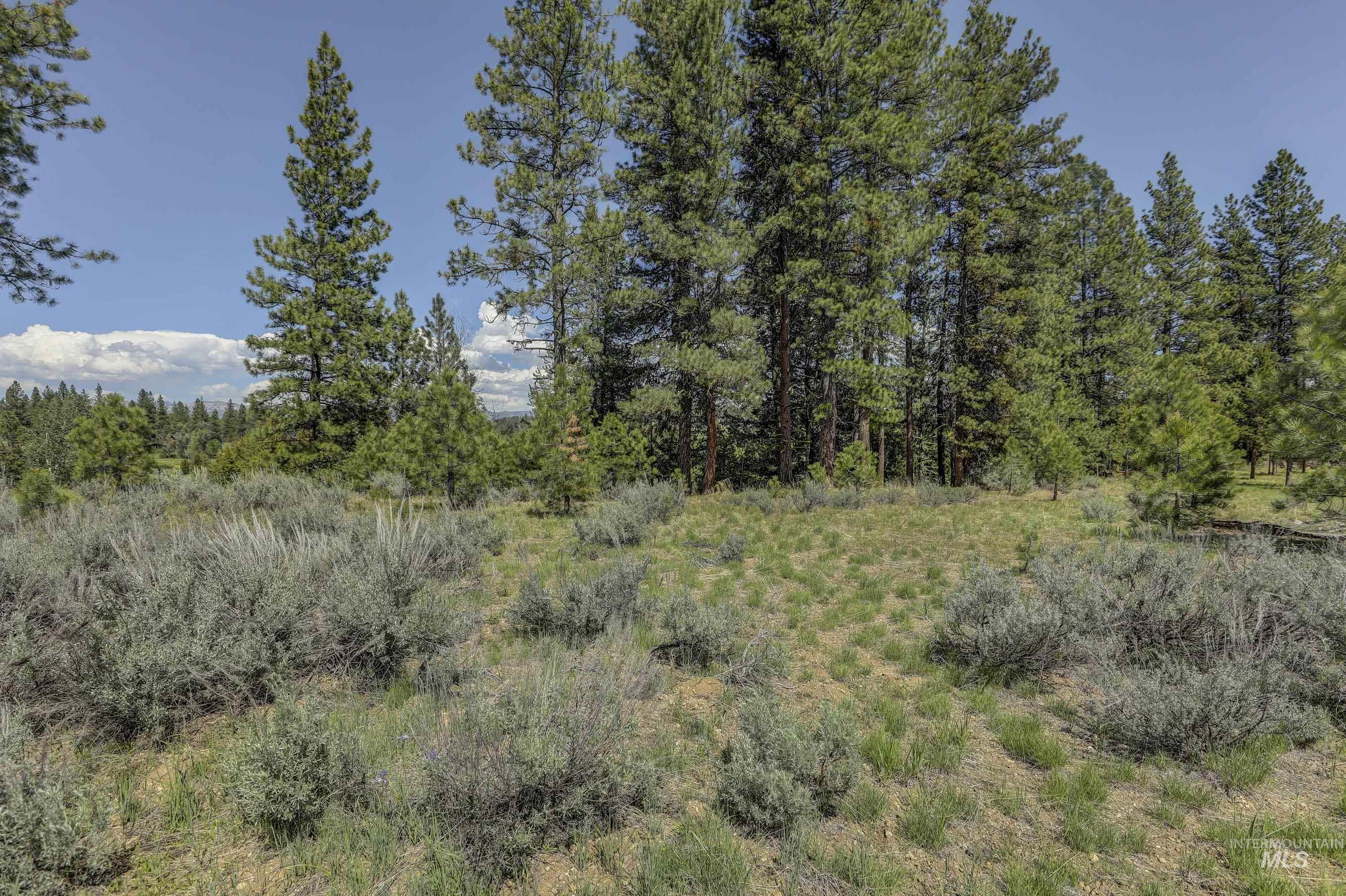 8 Targhee Court Property Photo 7