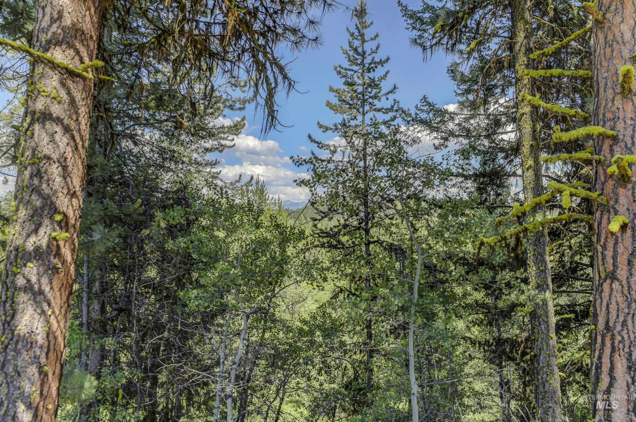 8 Targhee Court Property Photo 8