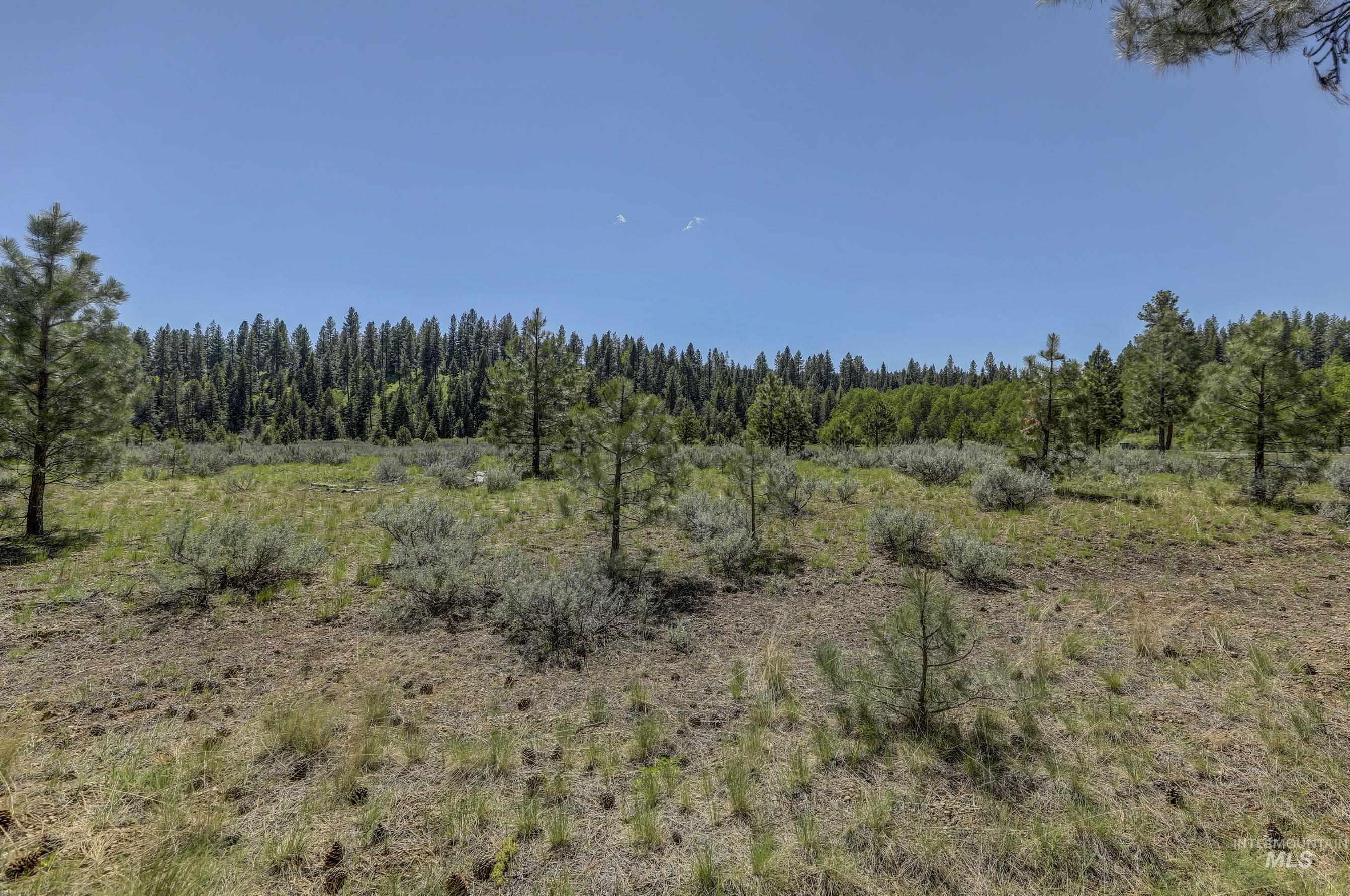 8 Targhee Court Property Photo 9