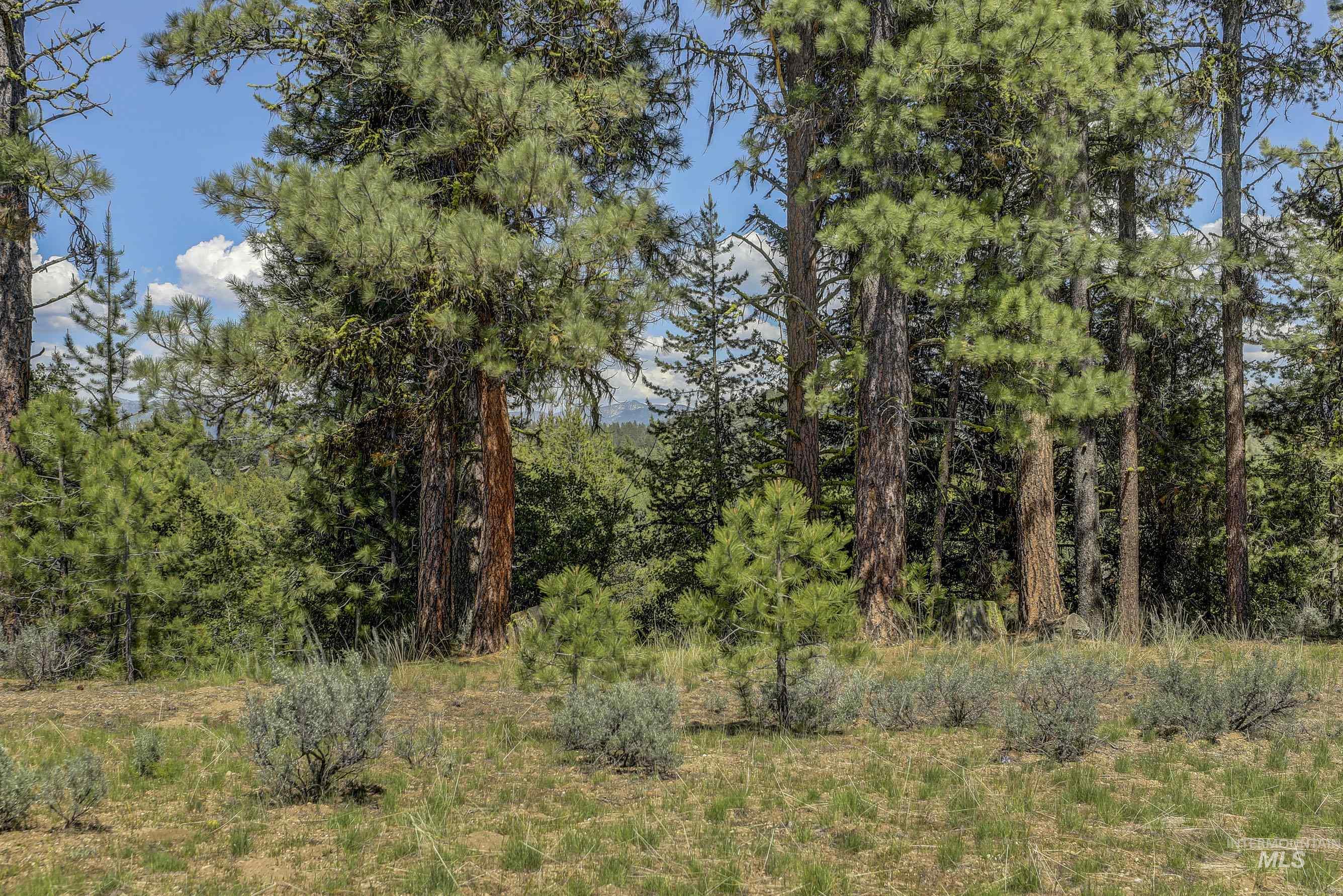 8 Targhee Court Property Photo 10