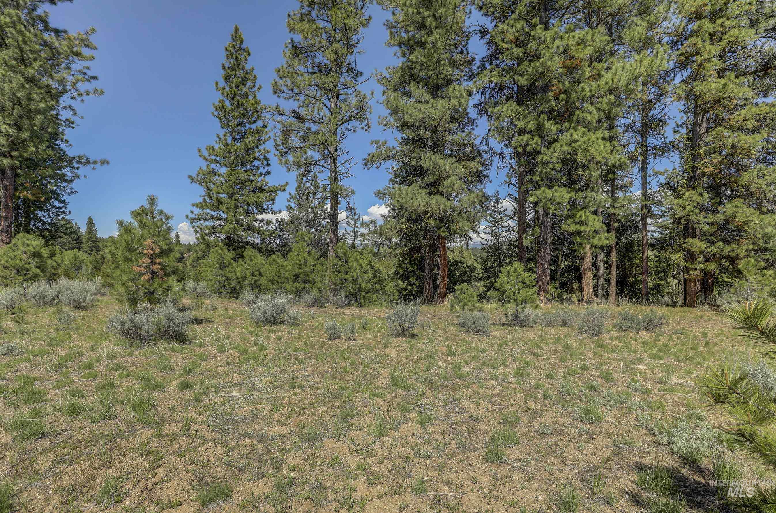 8 Targhee Court Property Photo 11