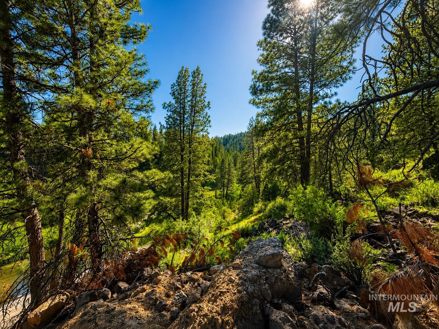 Lot 2 Mores Creek Heights Property Photo 5