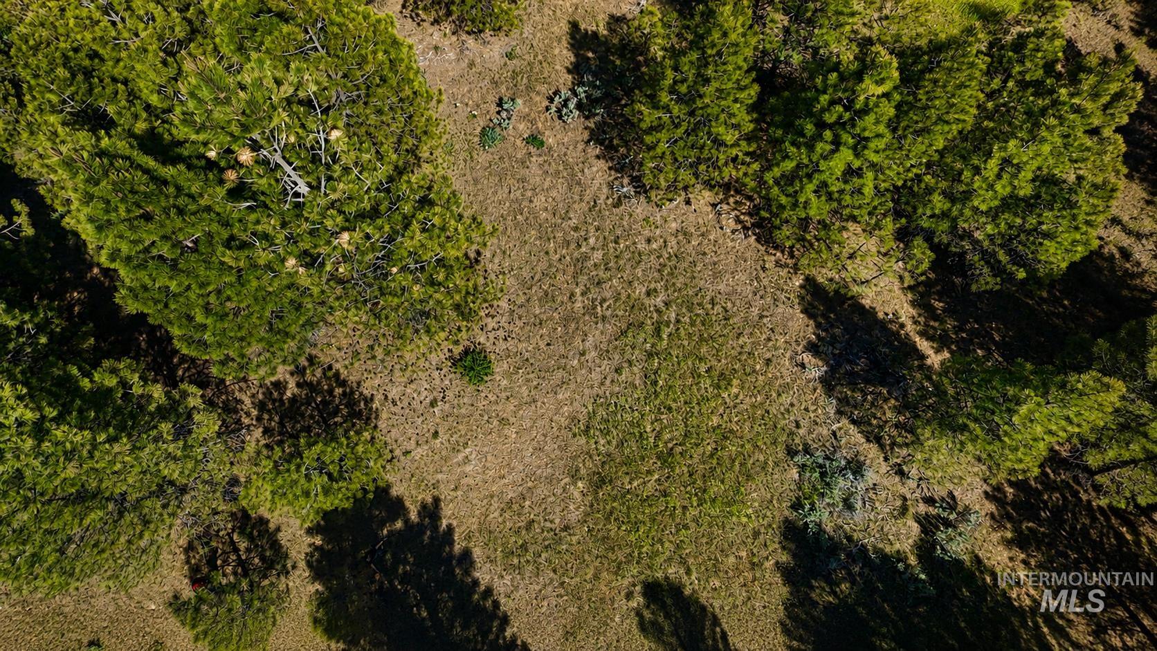 Lot 2 Mores Creek Heights Property Photo 8