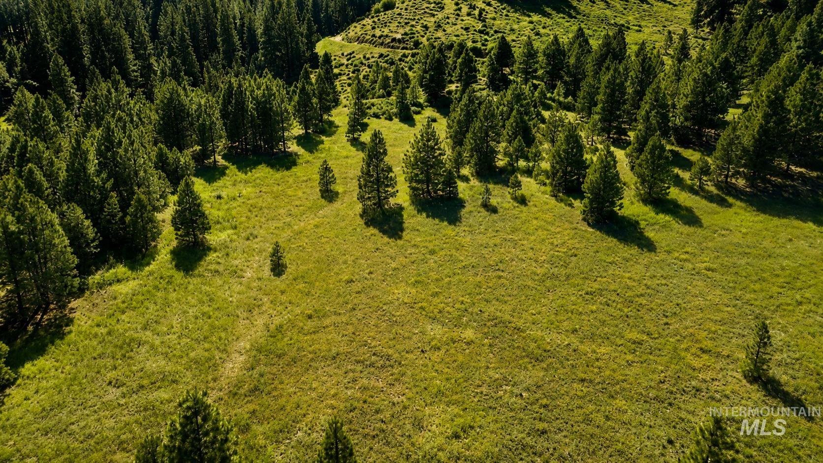 Lot 2 Mores Creek Heights Property Photo 13
