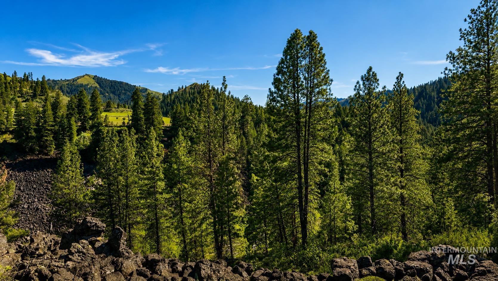Lot 2 Mores Creek Heights Property Photo 17