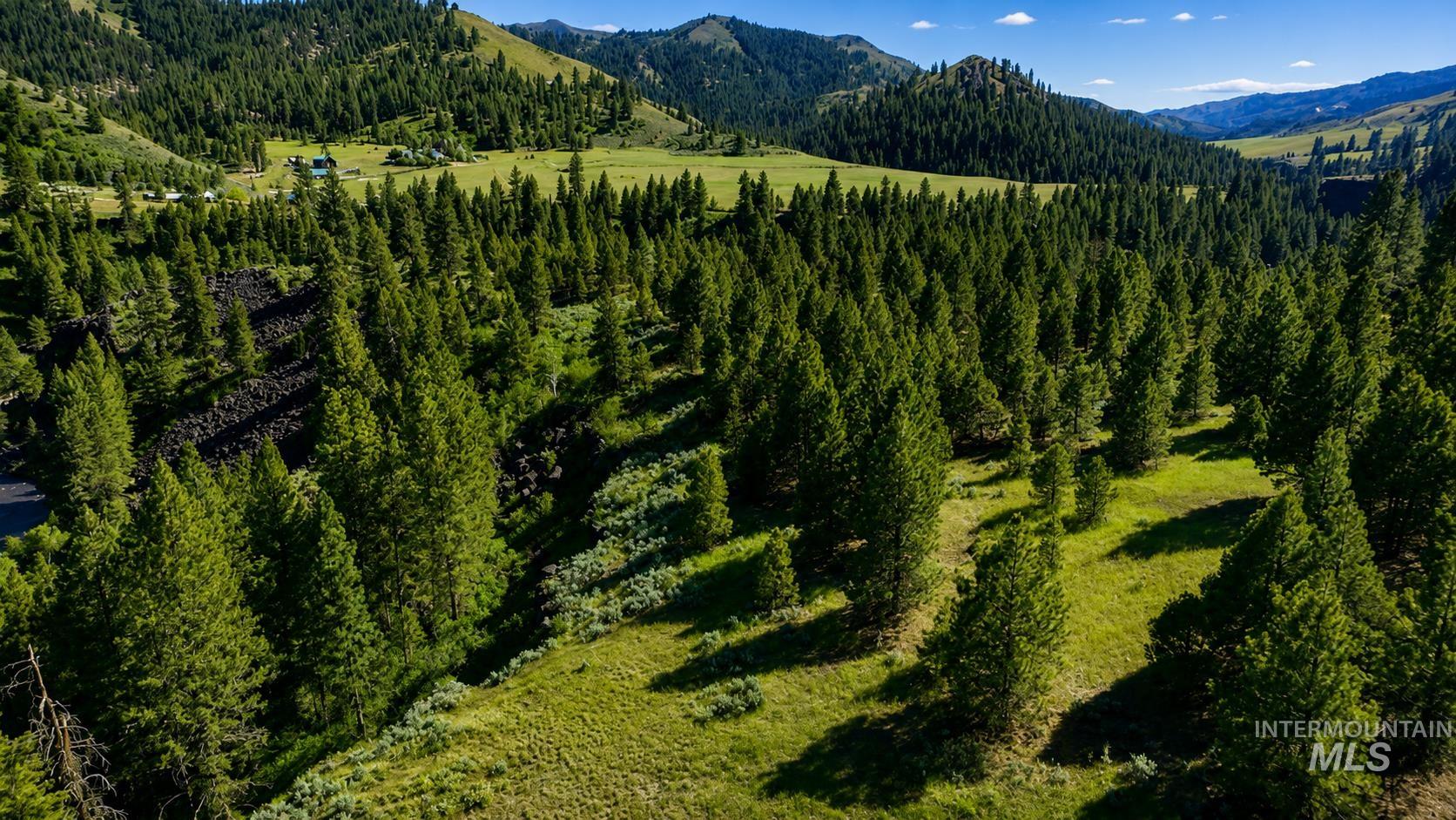 Lot 2 Mores Creek Heights Property Photo 17
