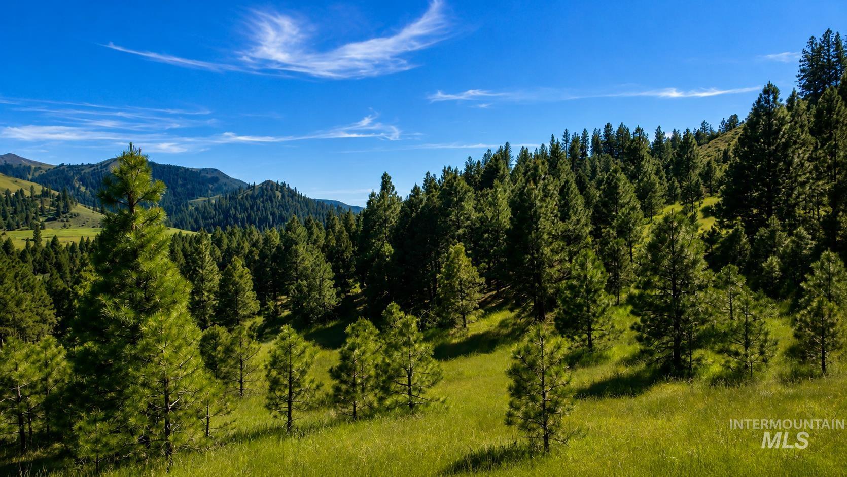 Lot 2 Mores Creek Heights Property Photo 19