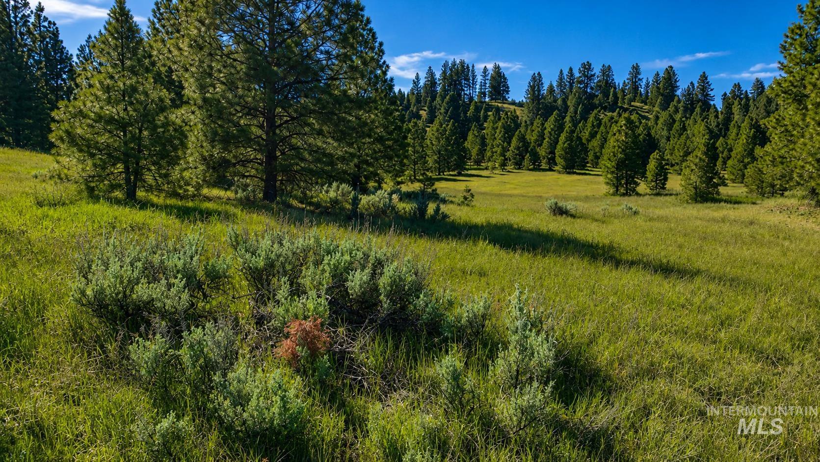 Lot 2 Mores Creek Heights Property Photo 19
