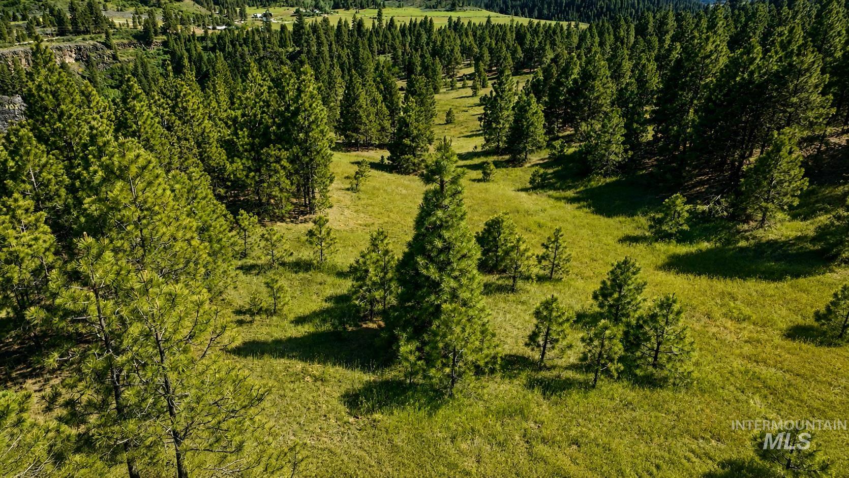 Lot 2 Mores Creek Heights Property Photo 23