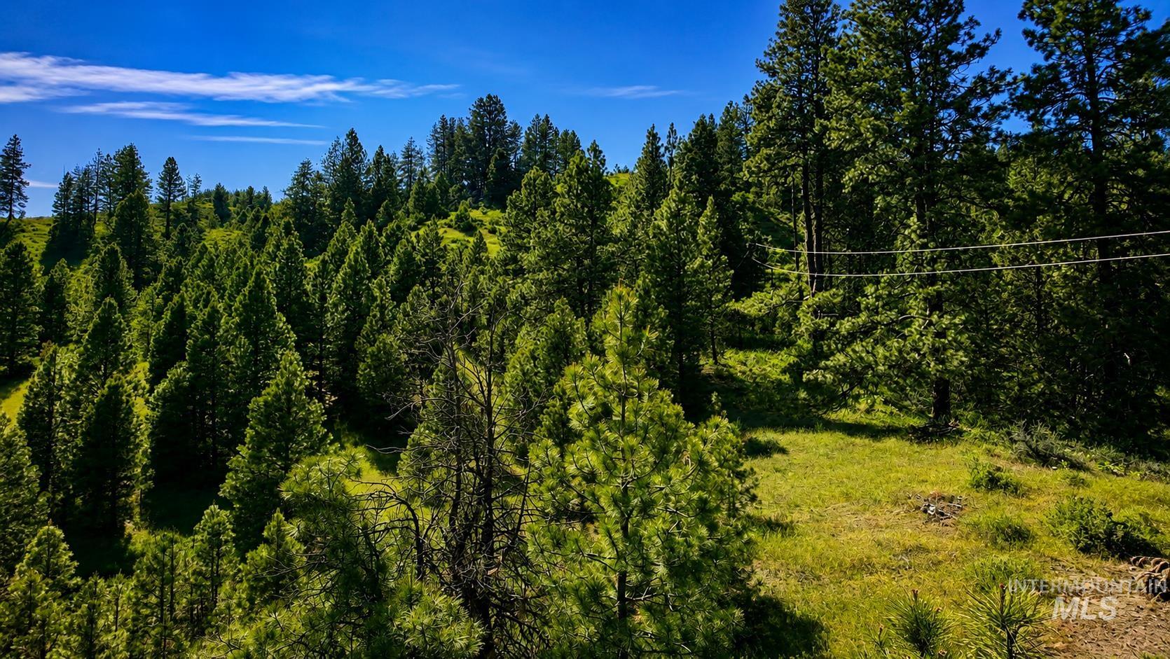 Lot 2 Mores Creek Heights Property Photo 24