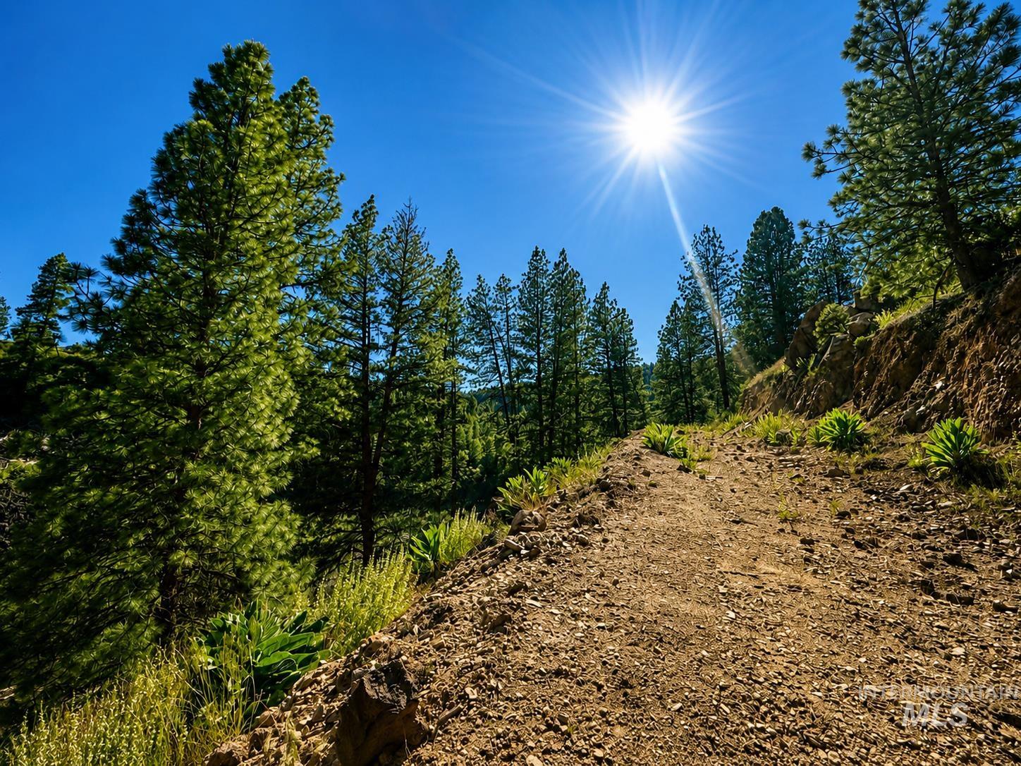 Lot 2 Mores Creek Heights Property Photo 25