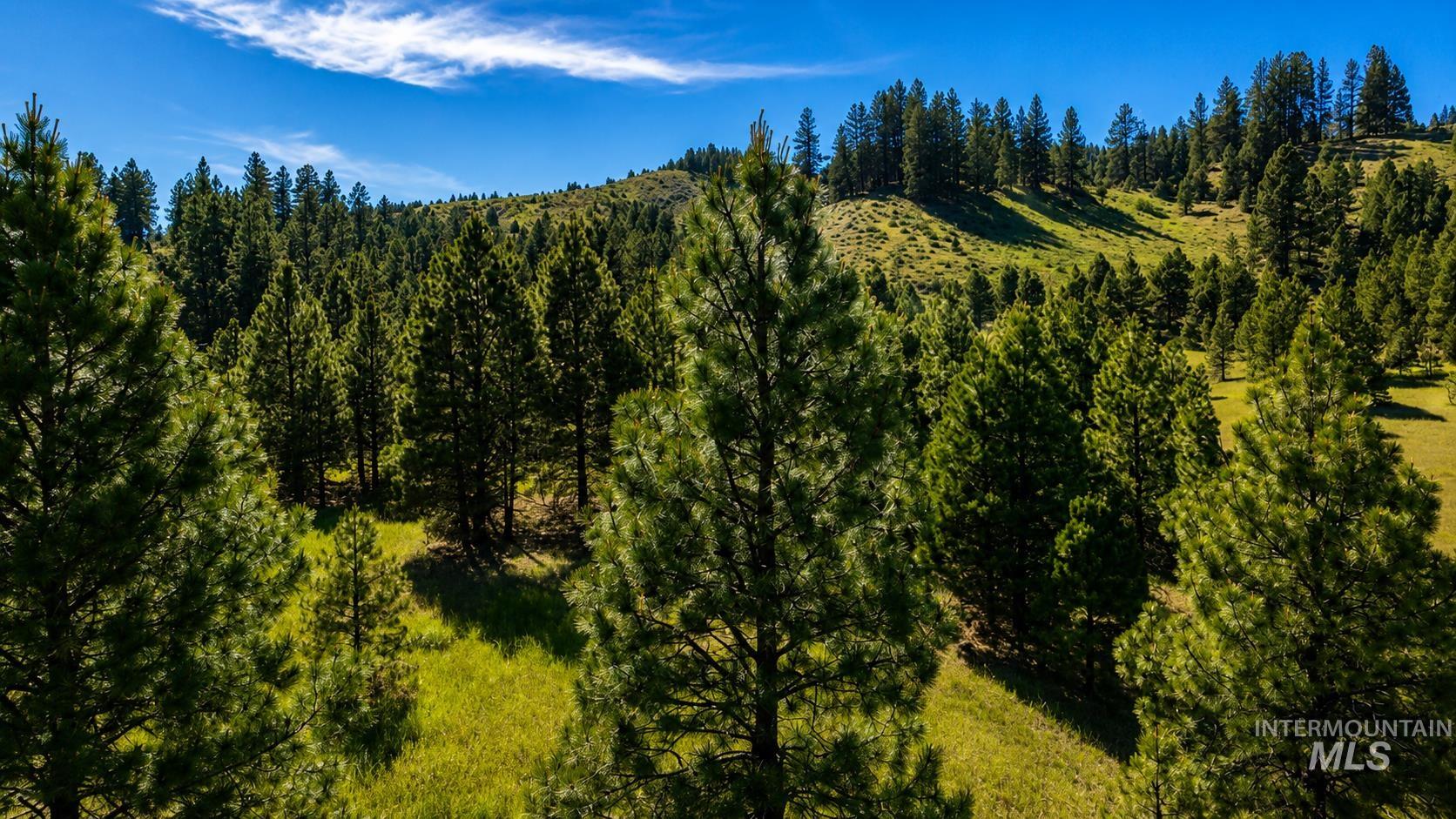 Lot 2 Mores Creek Heights Property Photo 29