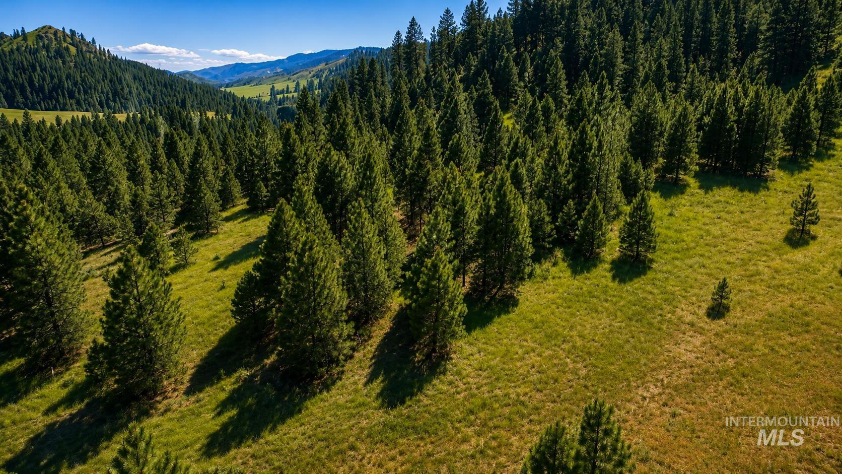 Lot 2 Mores Creek Heights Property Photo 30