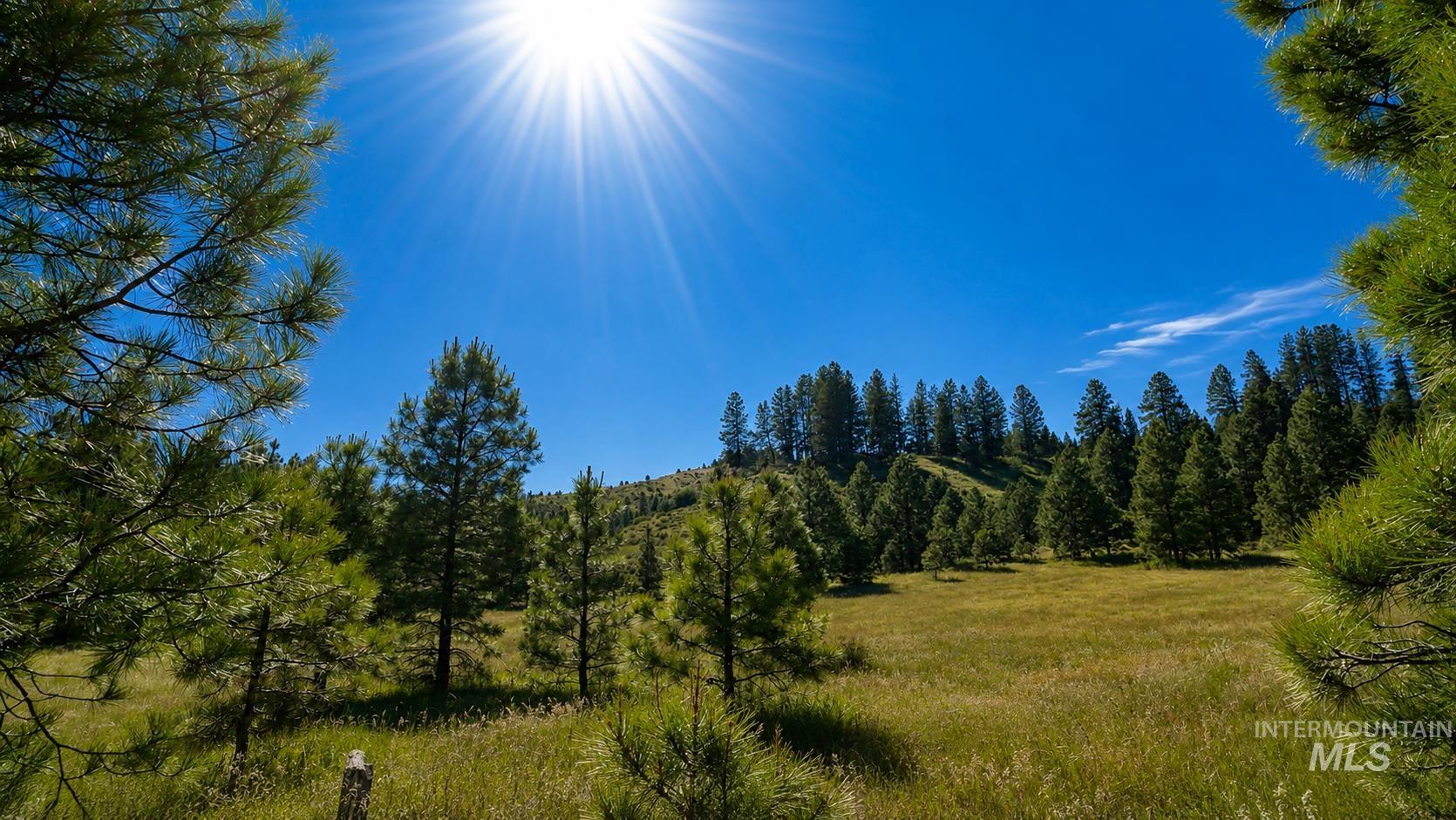 Lot 2 Mores Creek Heights Property Photo 31