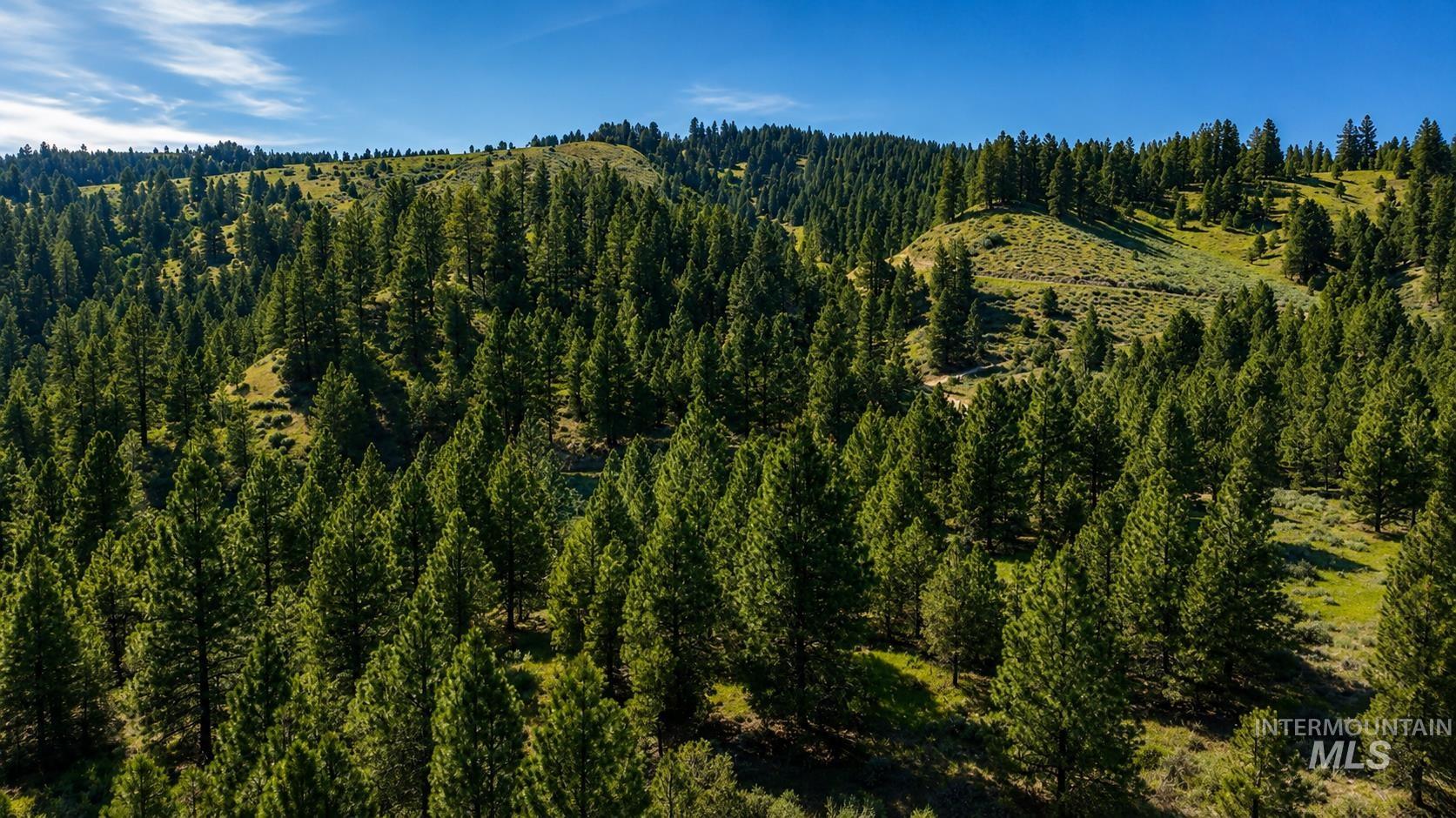 Lot 2 Mores Creek Heights Property Photo 33