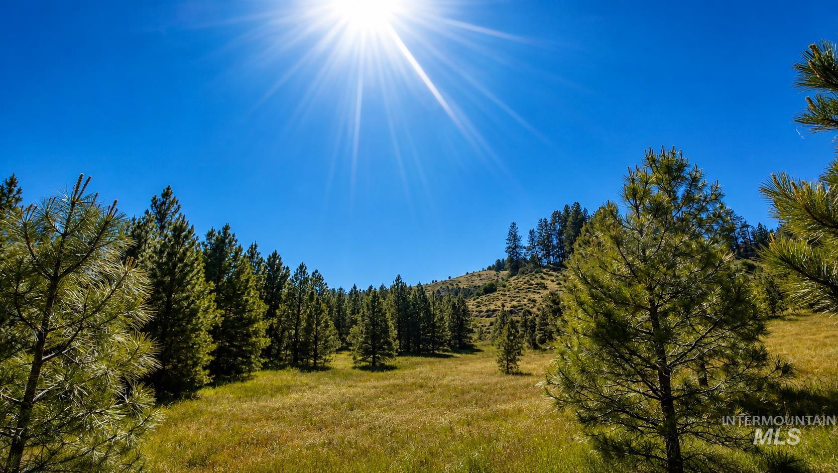 Lot 2 Mores Creek Heights Property Photo 34
