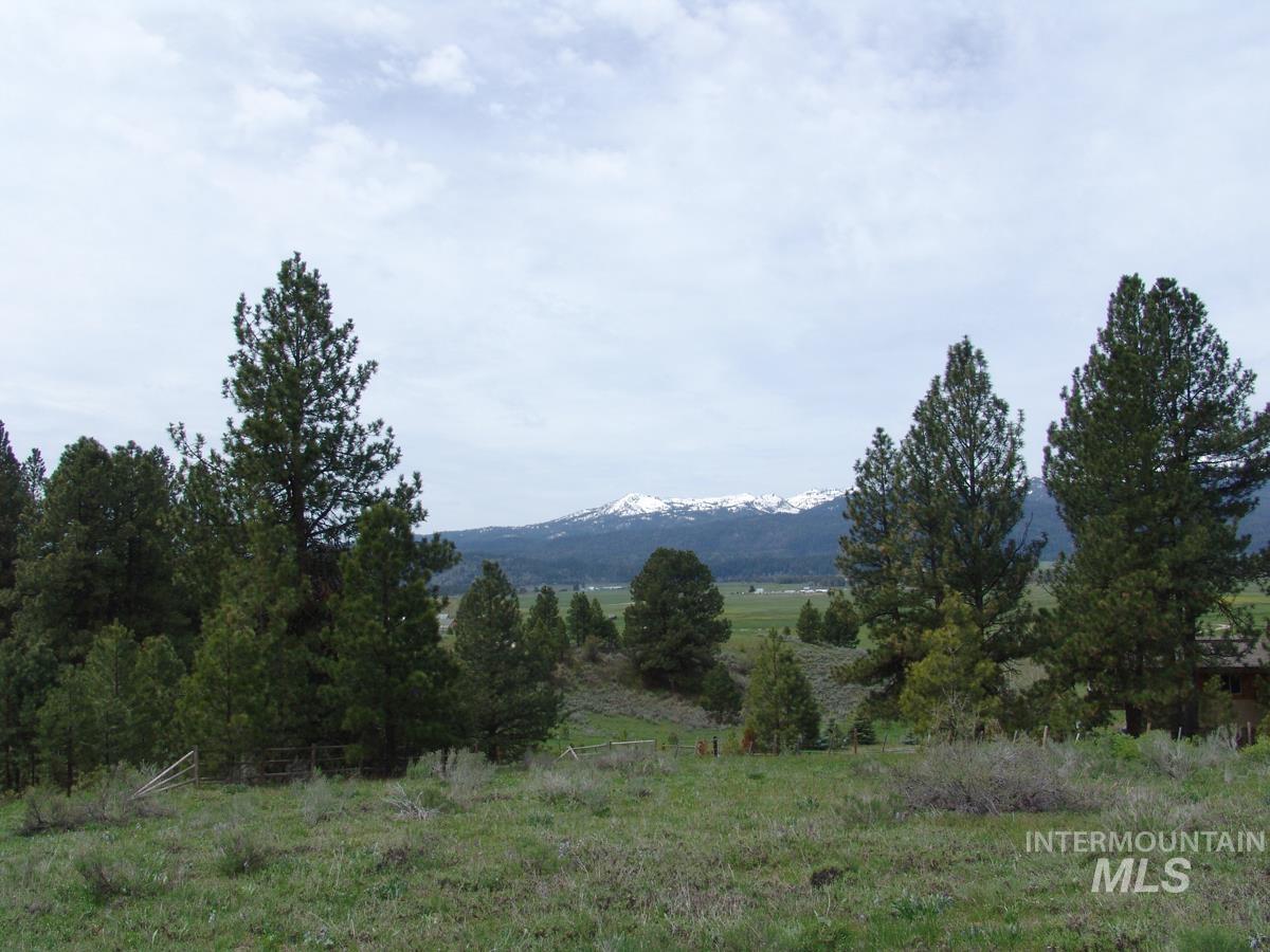10848 Callender Road Property Photo 1