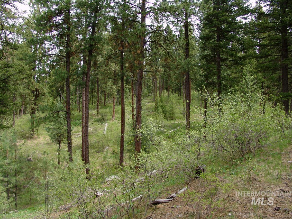 10848 Callender Road Property Photo 3