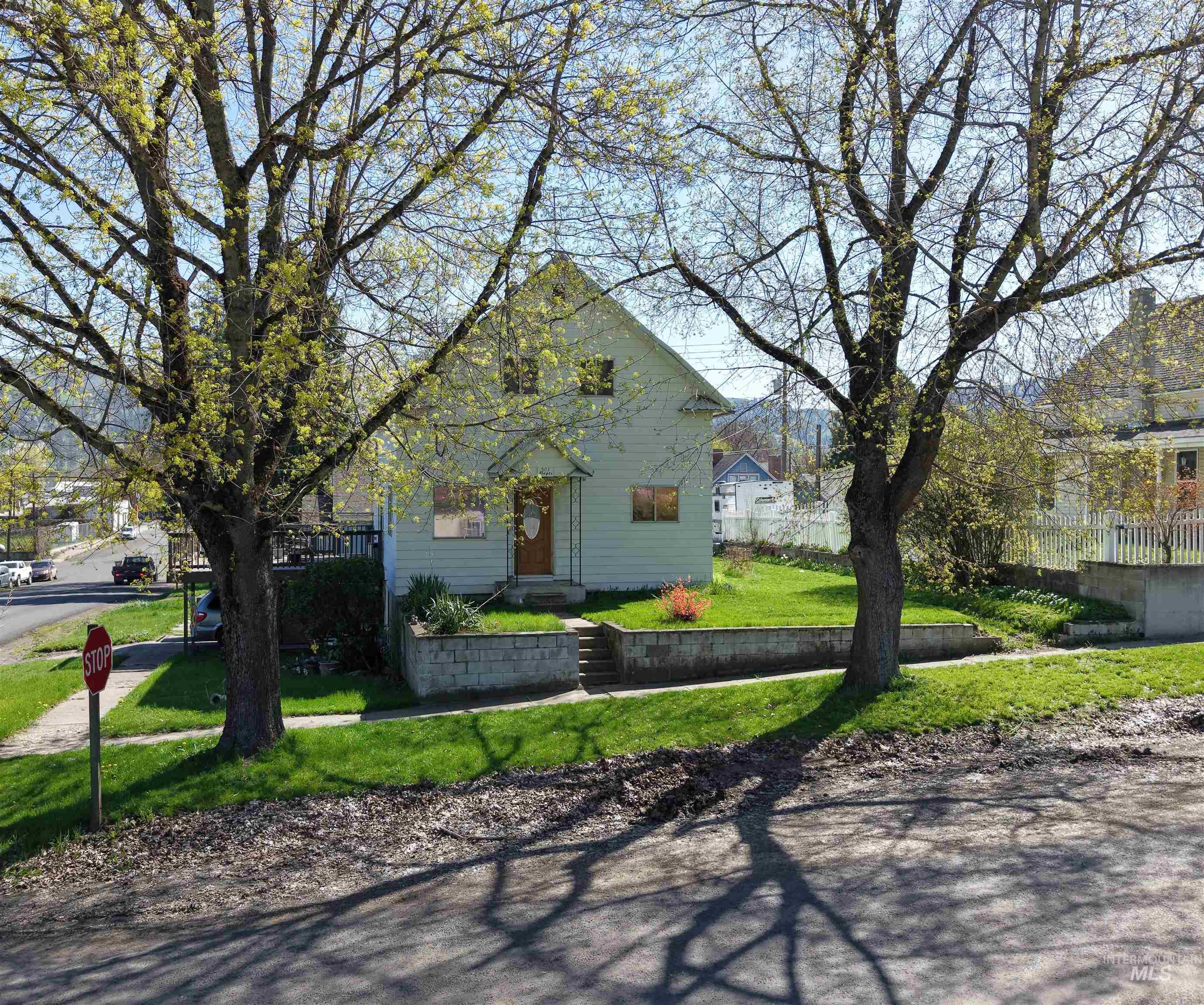 503 Maple Property Photo 4