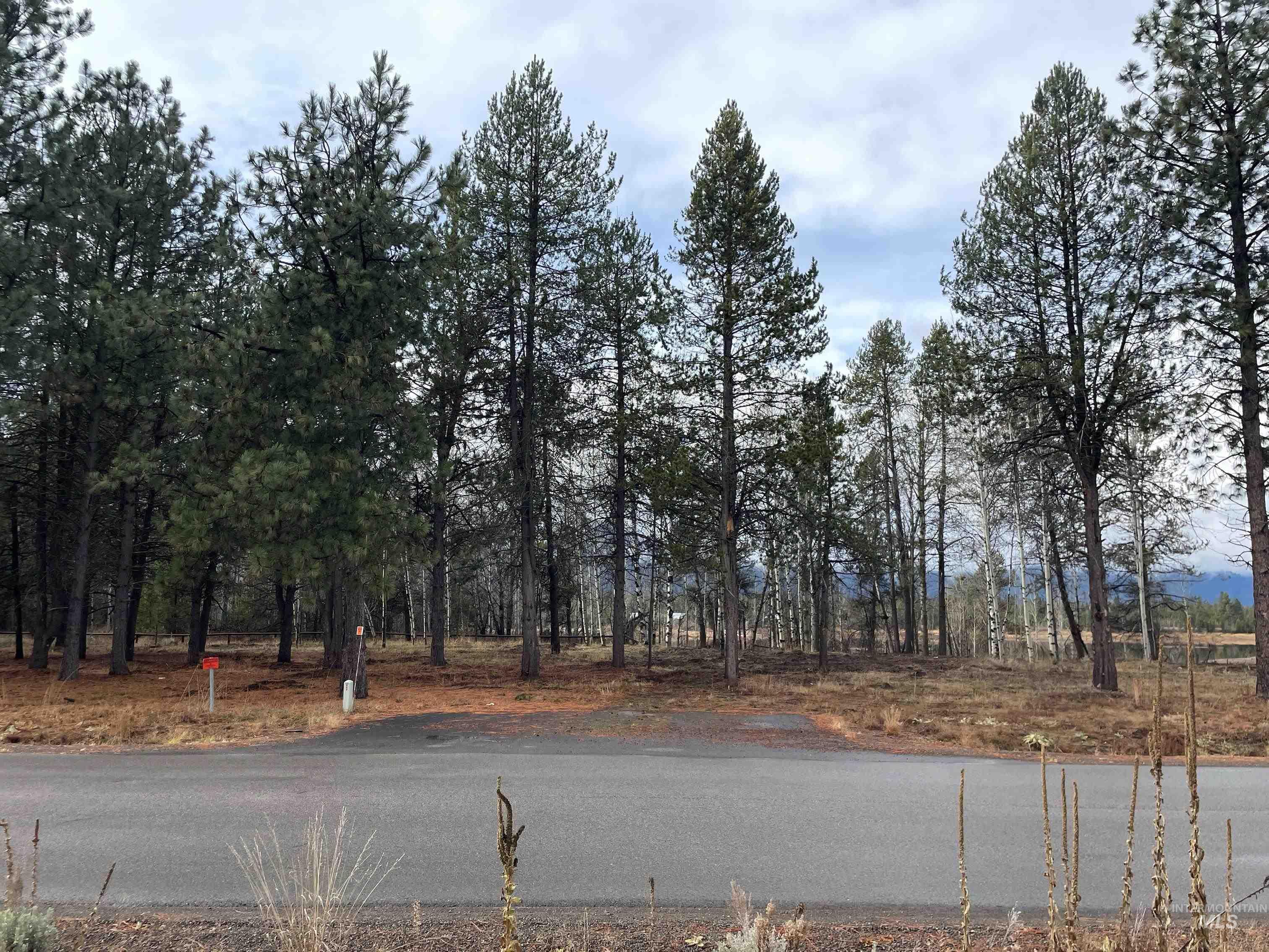 13045 Dawn Drive Property Photo 1