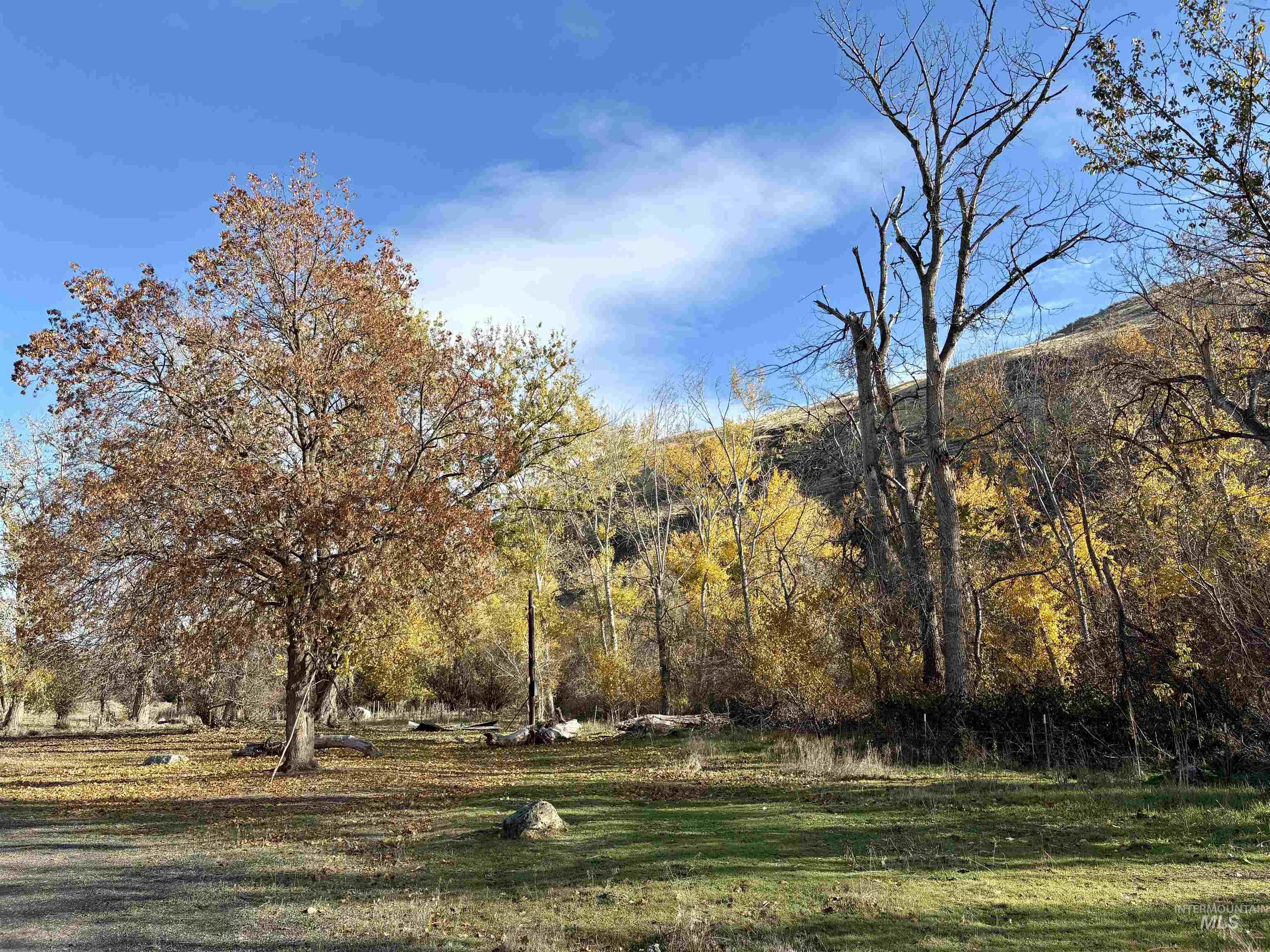 13761 Asotin Creek Road Property Photo 8
