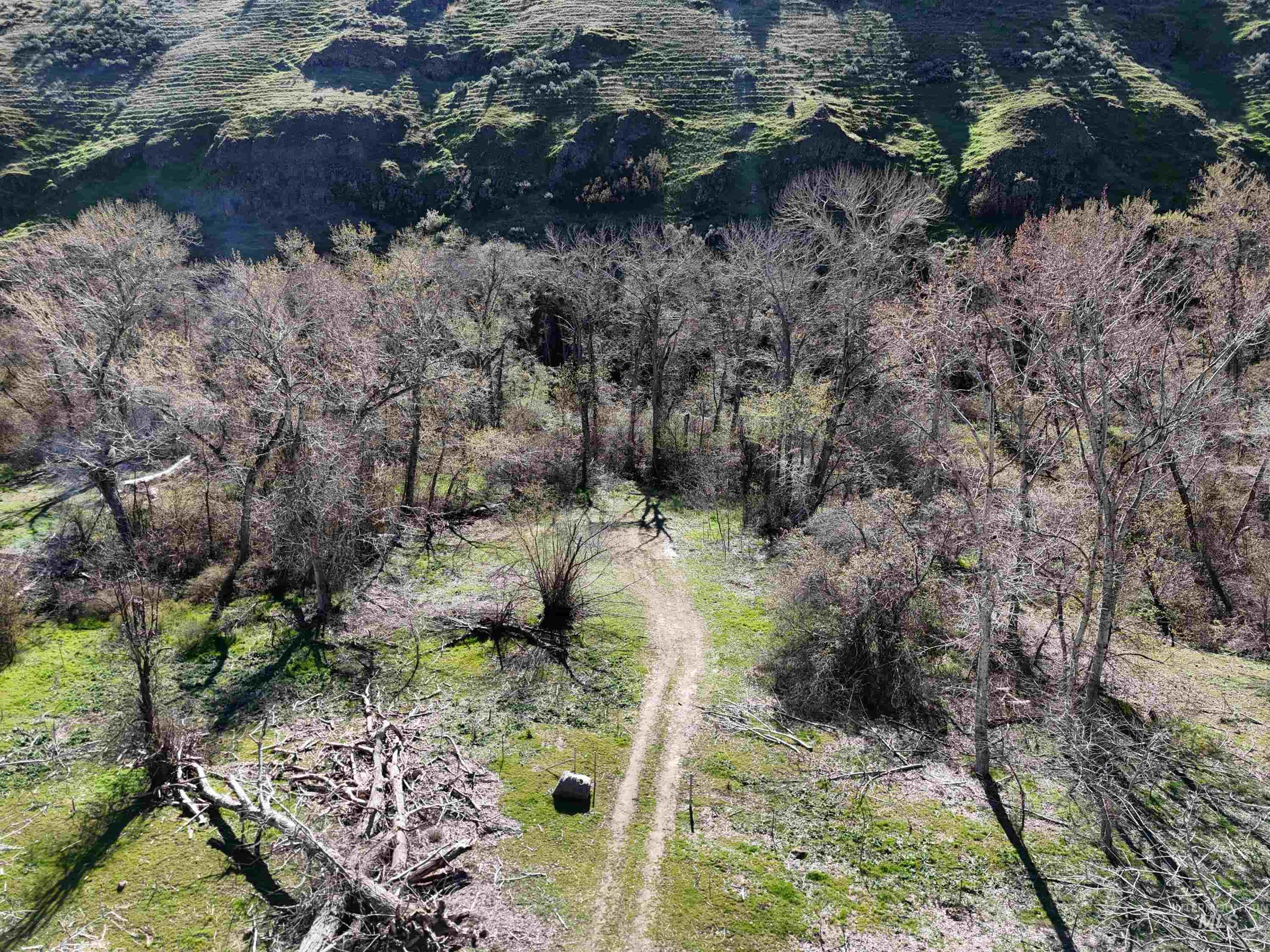 13761 Asotin Creek Road Property Photo 18