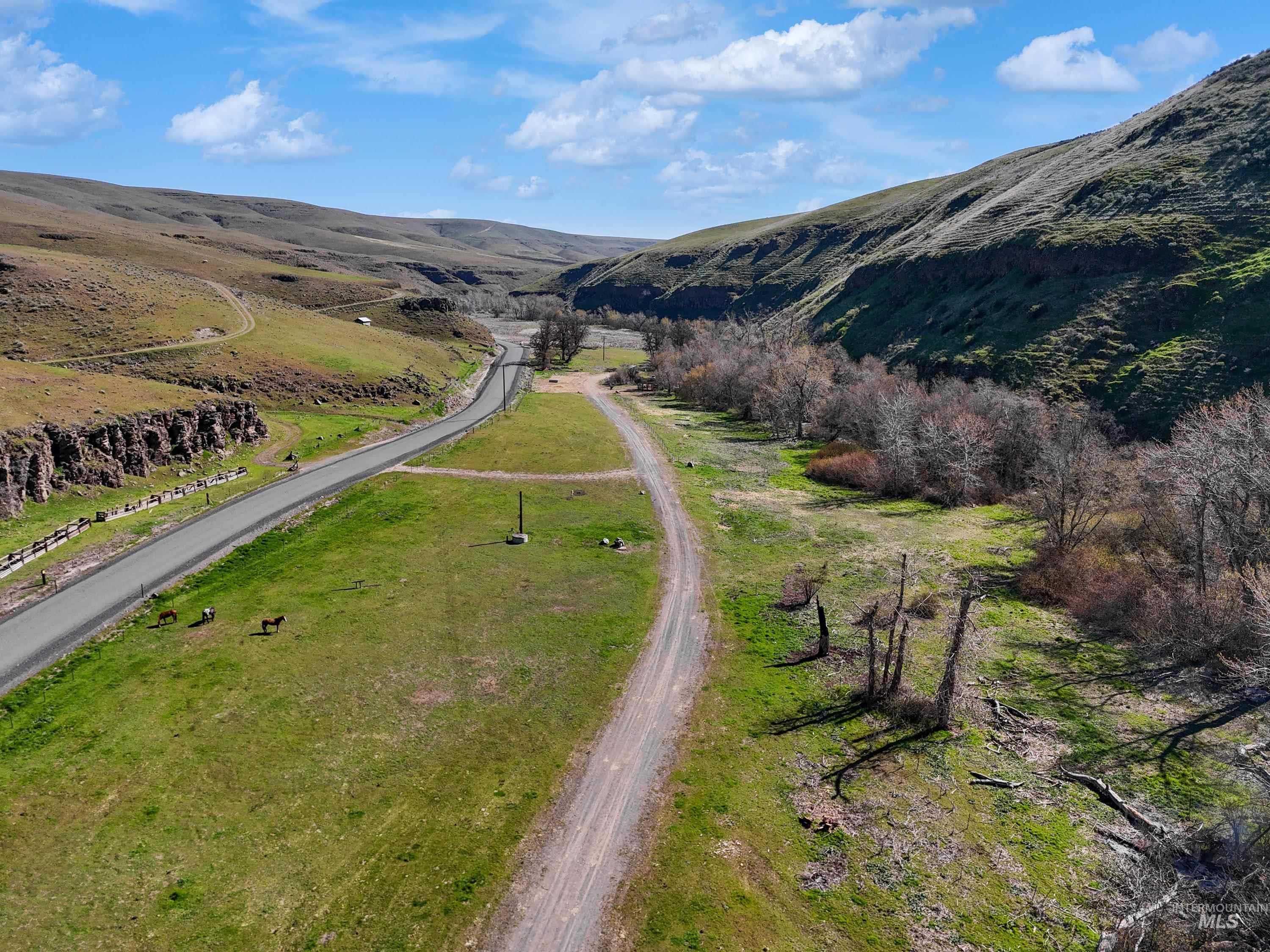 13761 Asotin Creek Road Property Photo 19