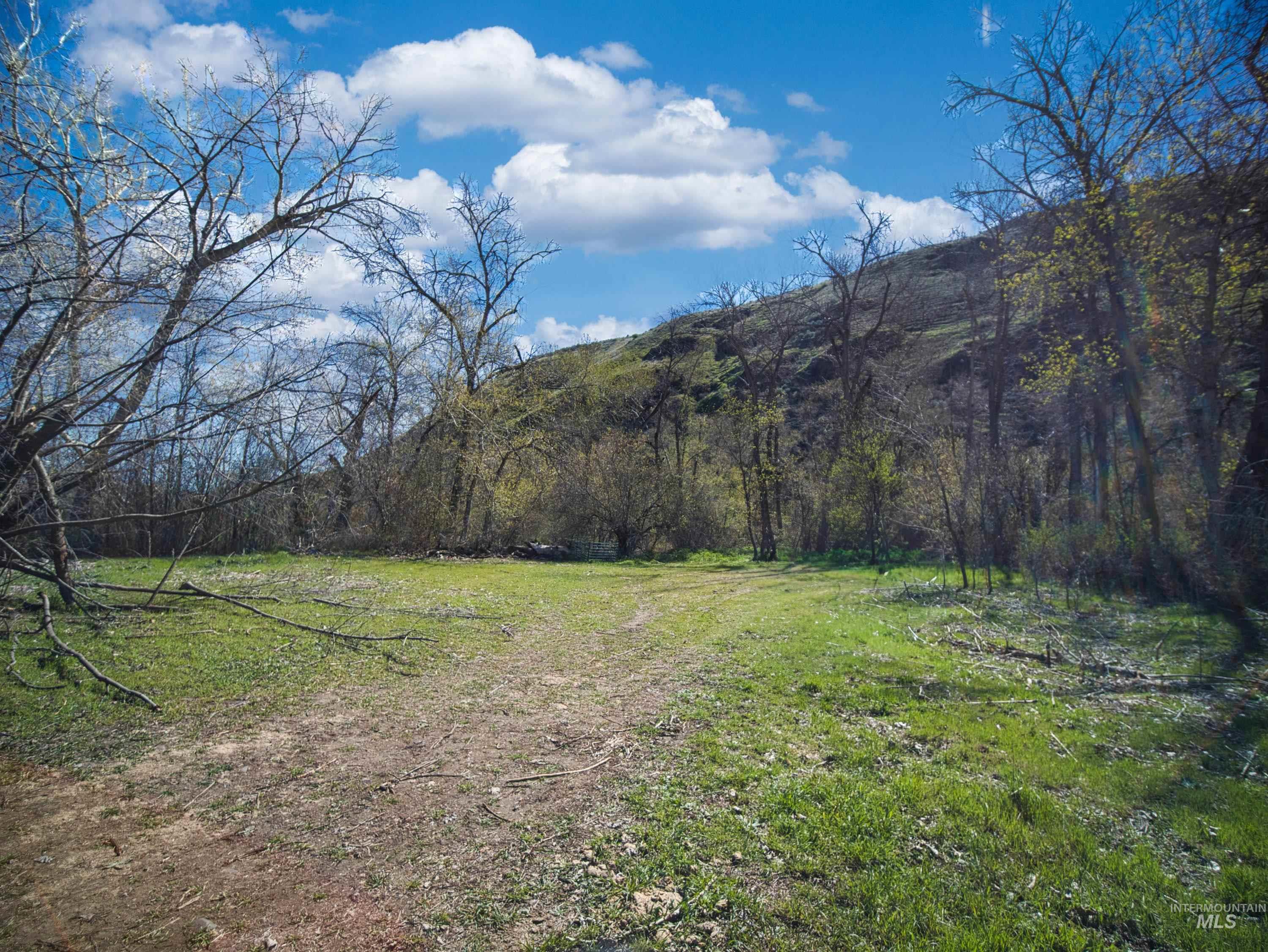 13761 Asotin Creek Road Property Photo 23
