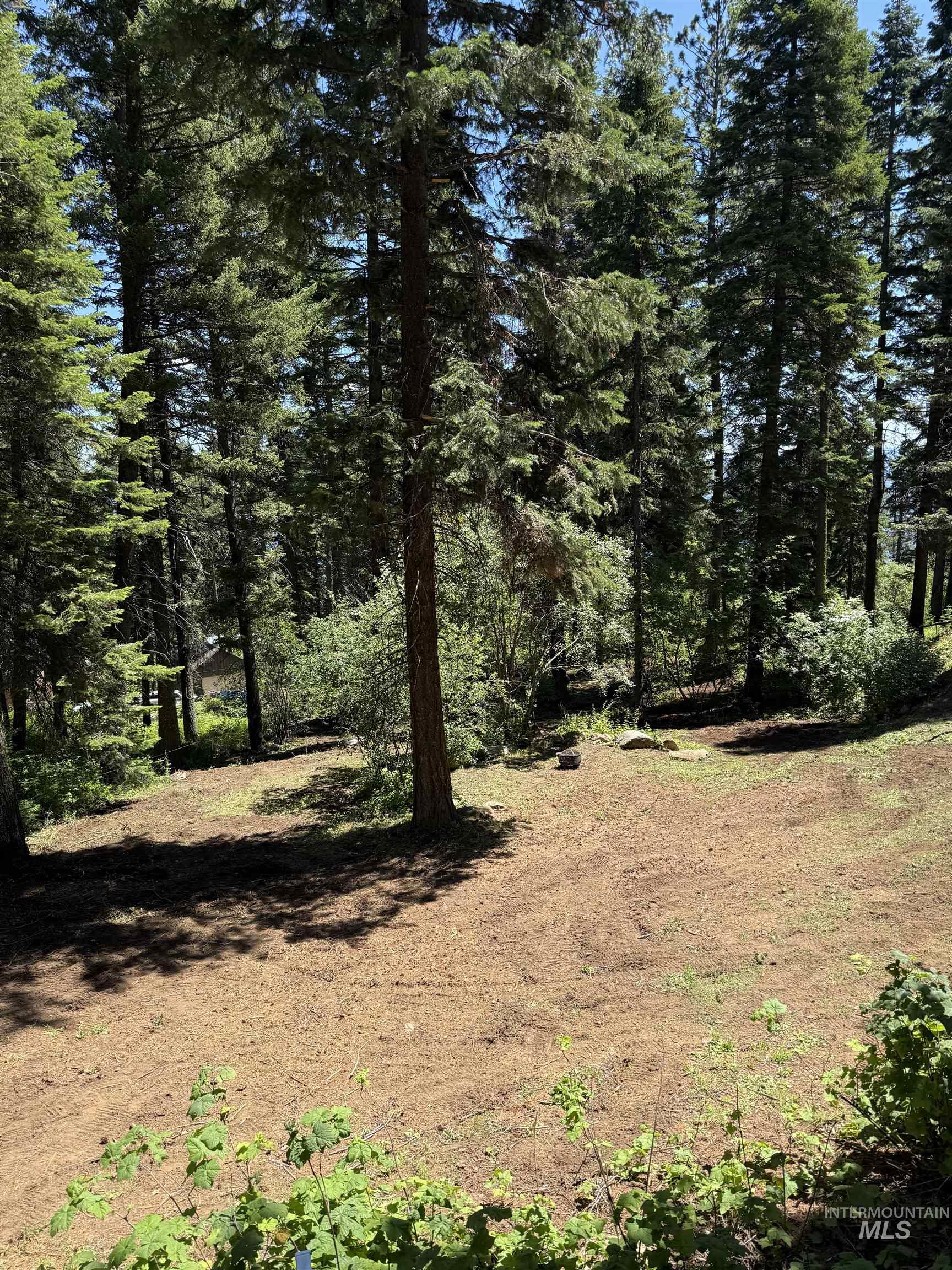 1204 Porcupine Road Property Photo 1