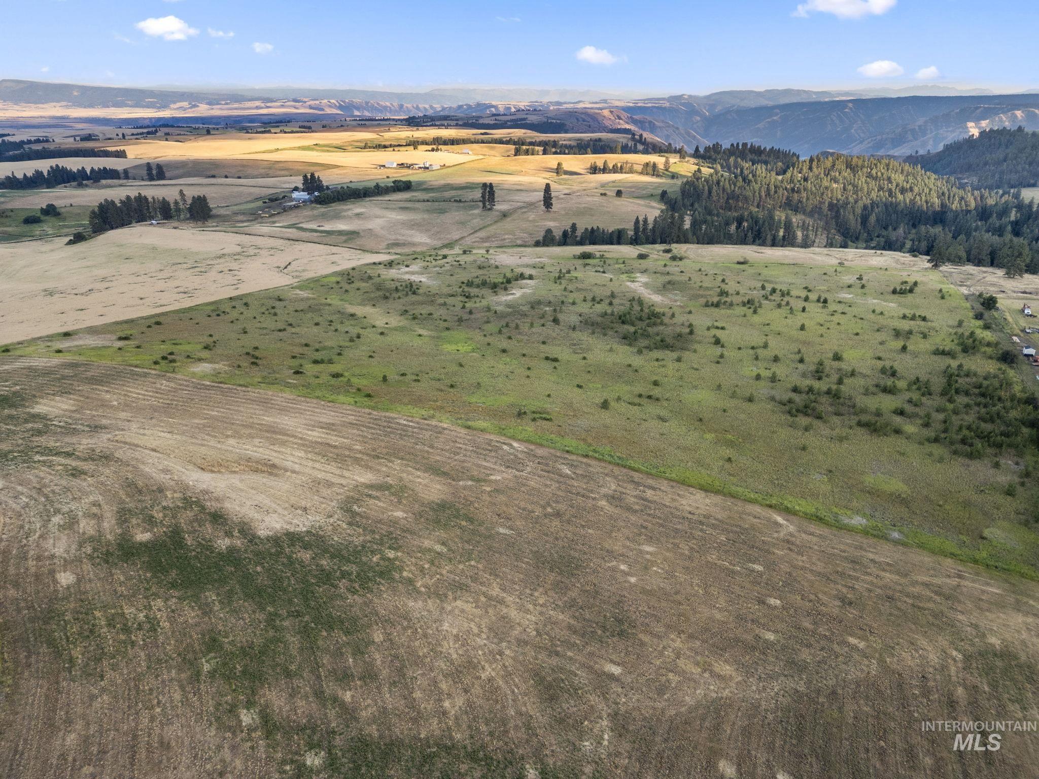 Tbd Keuterville Road Property Photo 2