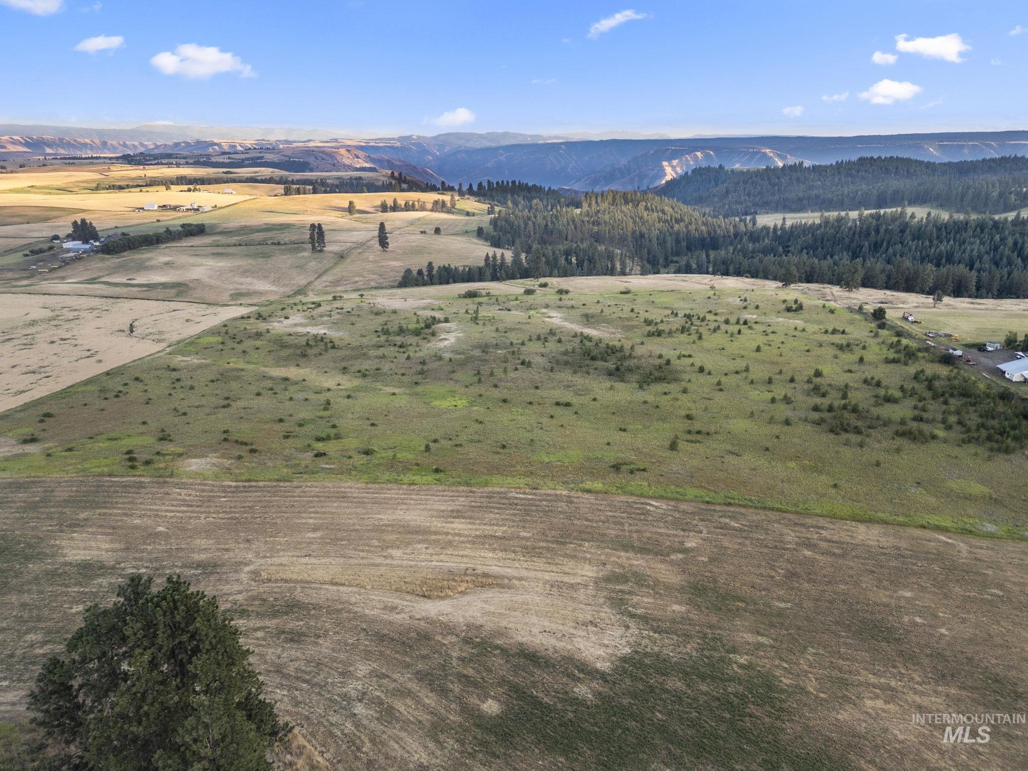 Tbd Keuterville Road Property Photo 3