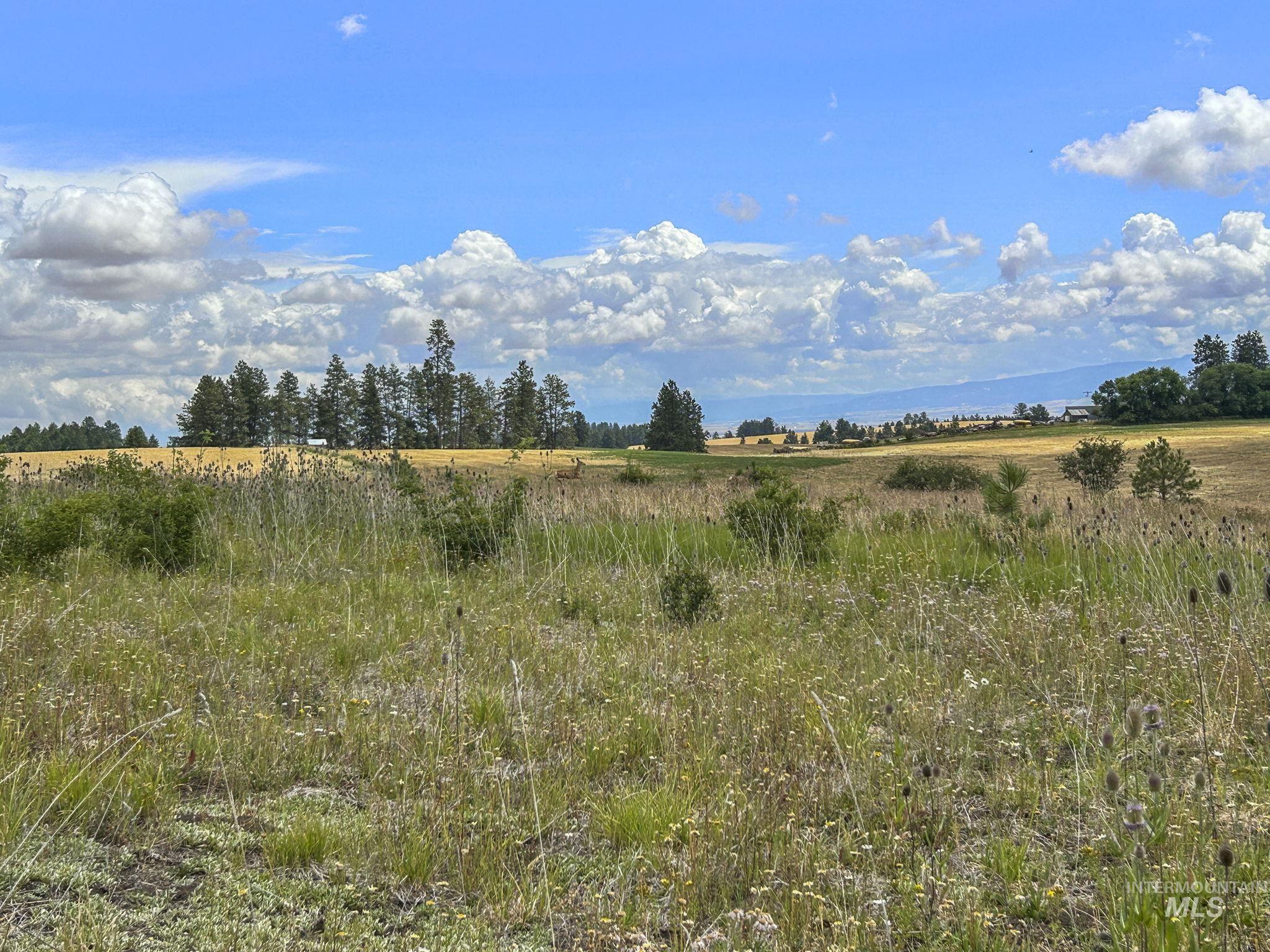 Tbd Keuterville Road Property Photo 5