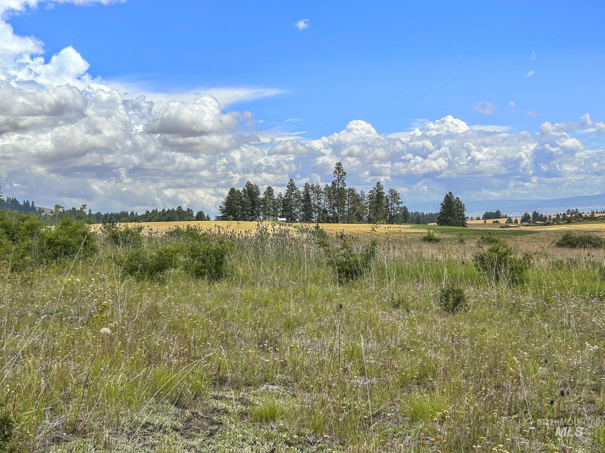 Tbd Keuterville Road Property Photo 6