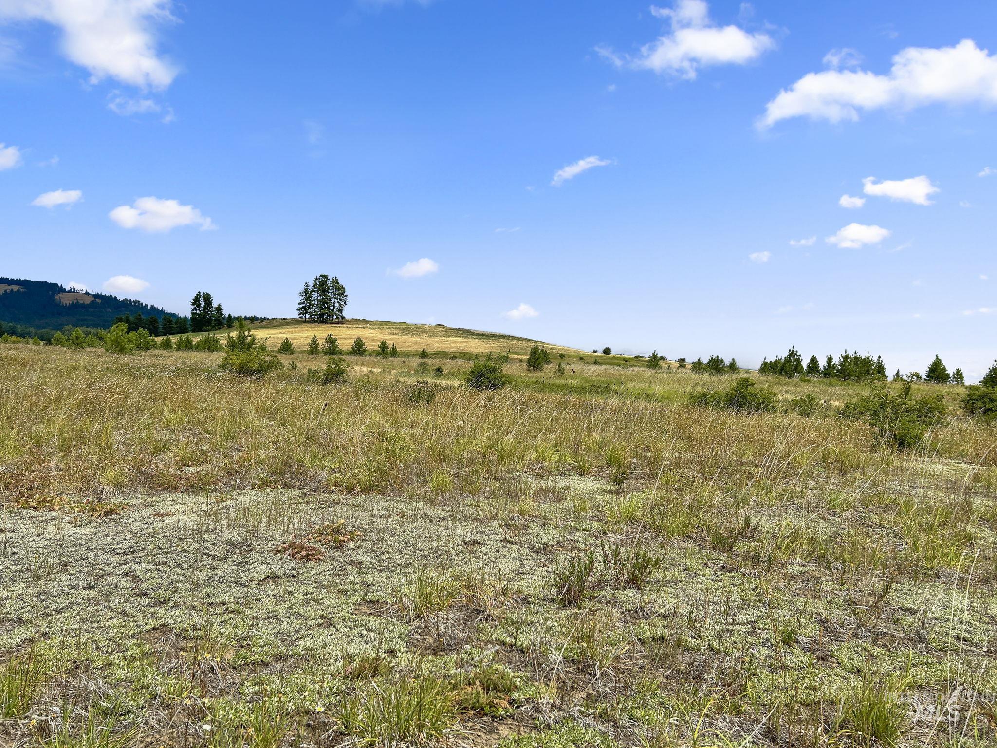 Tbd Keuterville Road Property Photo 7