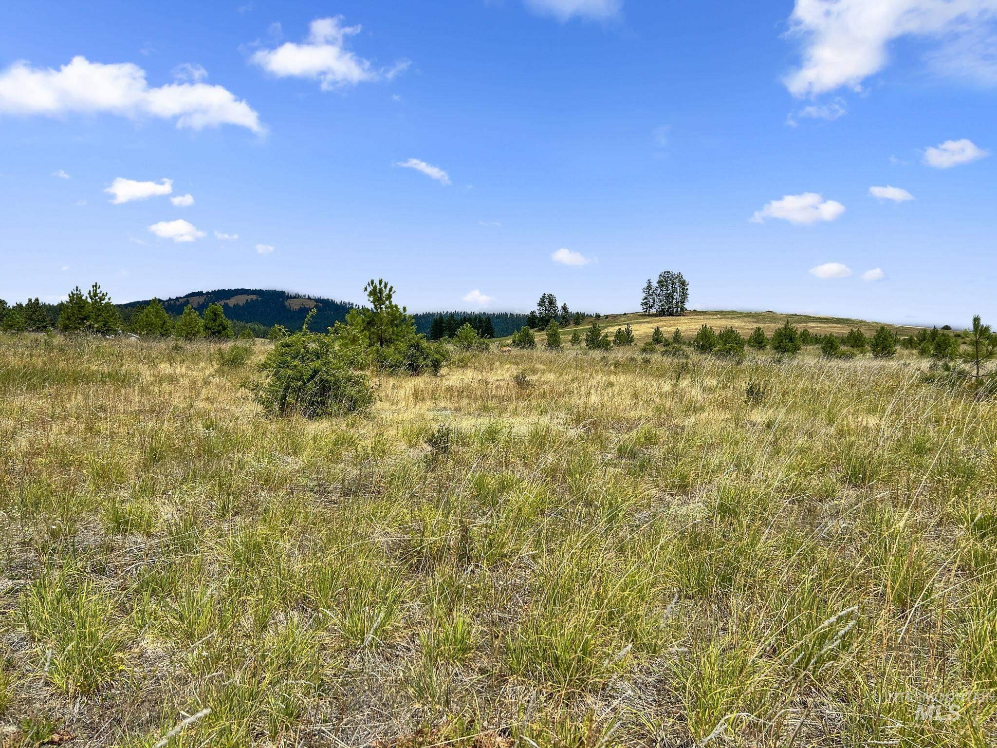 Tbd Keuterville Road Property Photo 8