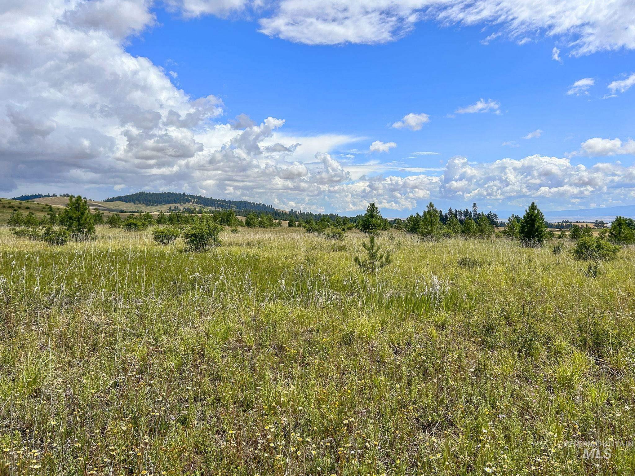 Tbd Keuterville Road Property Photo 9