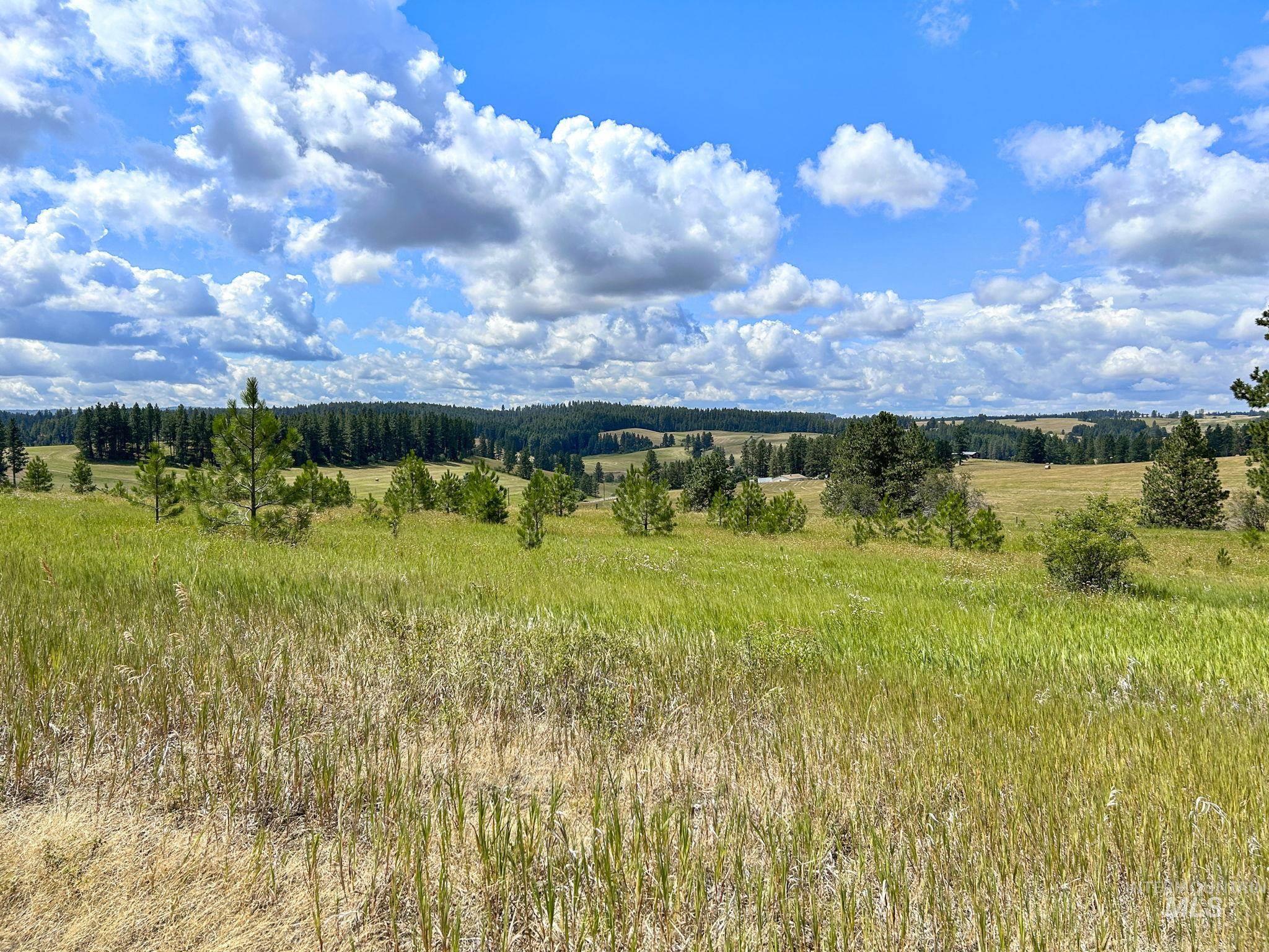 Tbd Keuterville Road Property Photo 13